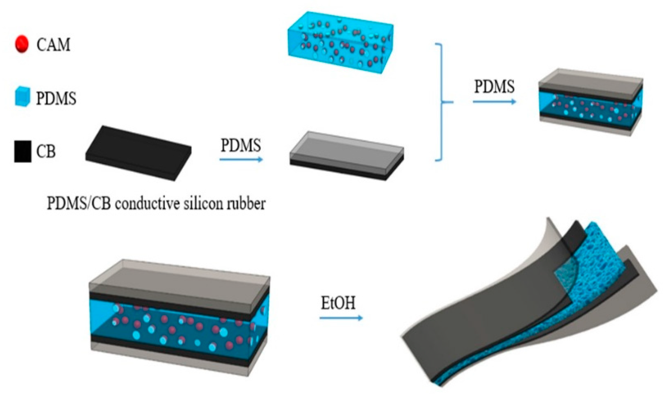 Sensors 21 01119 g001