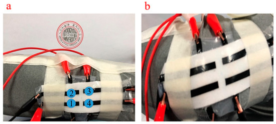 Sensors 21 01119 g0a5