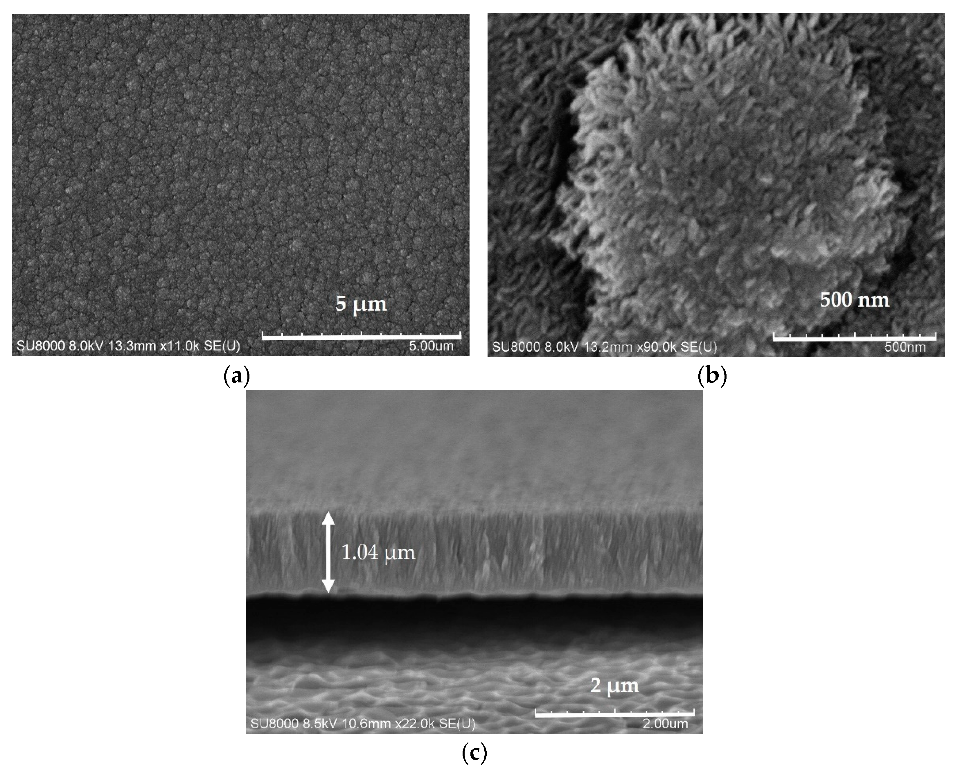 Sensors 21 01130 g008