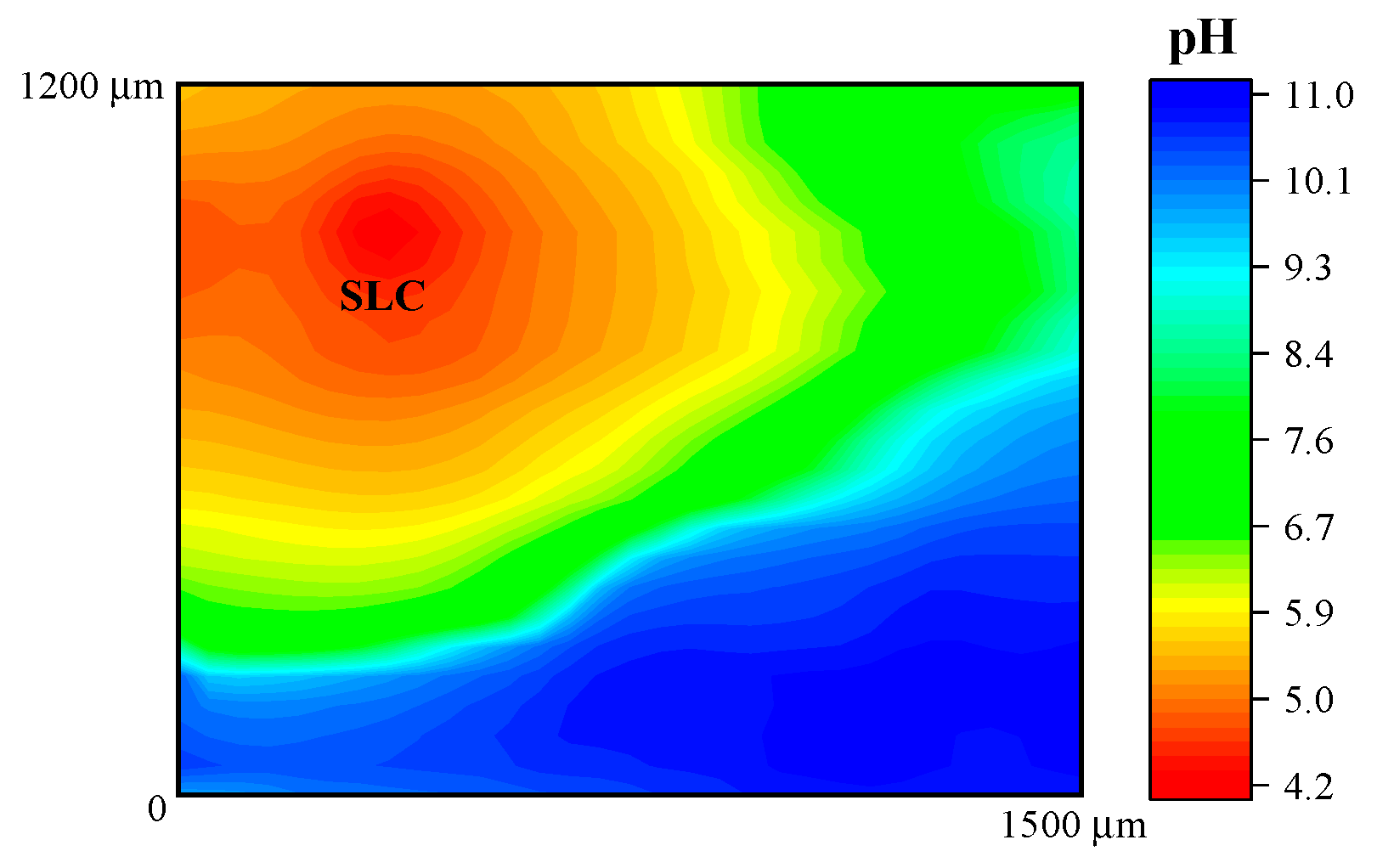 Sensors 21 01132 g006