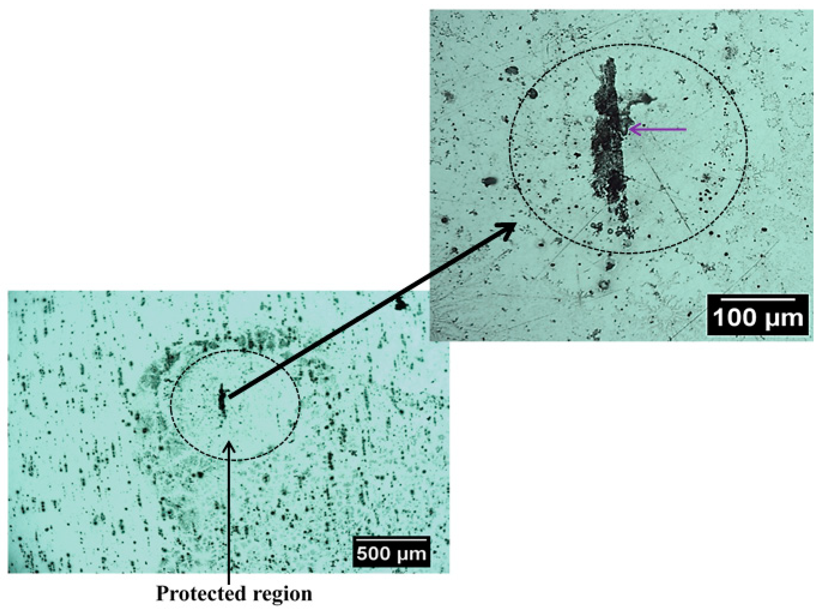 Sensors 21 01132 g007