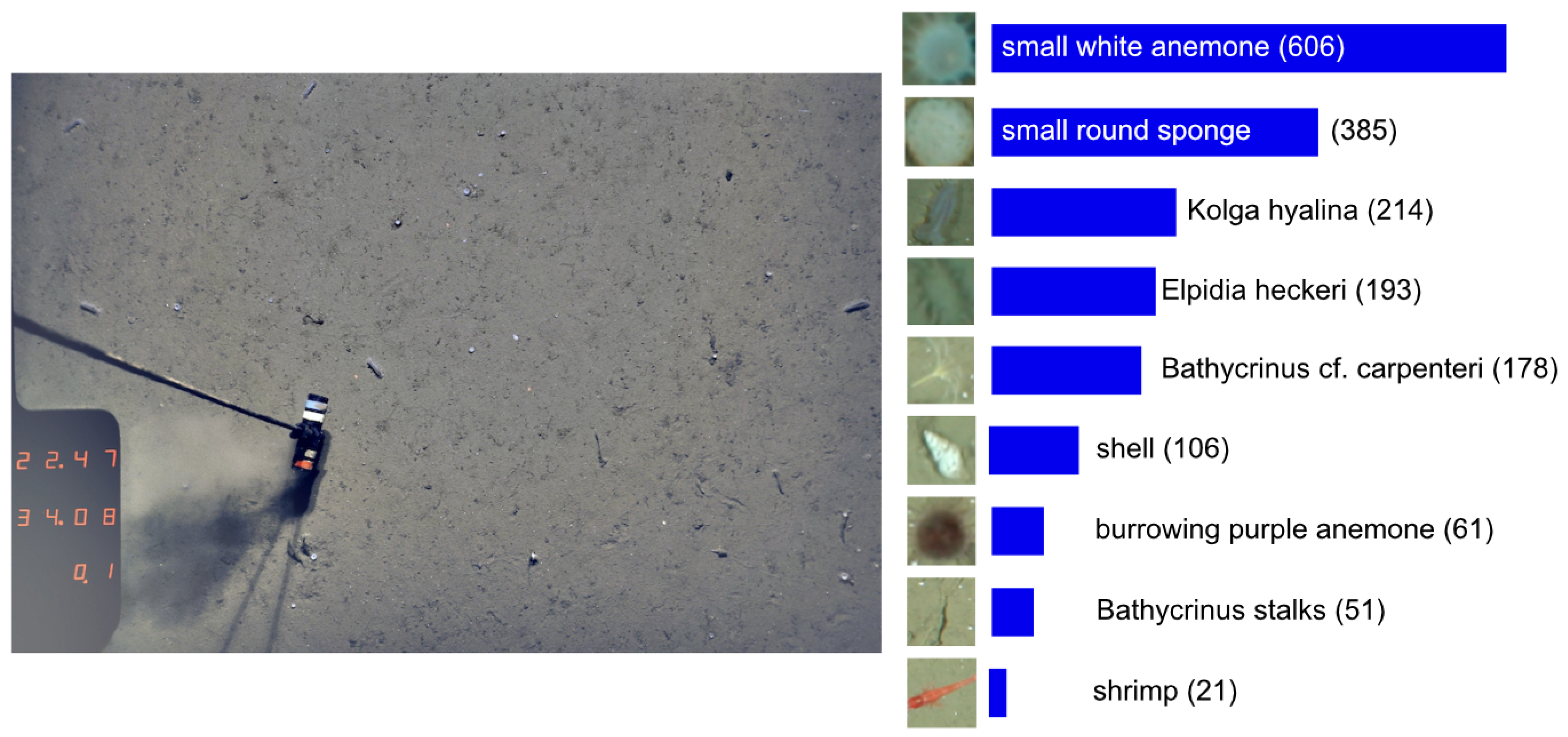 Sensors 21 01134 g001