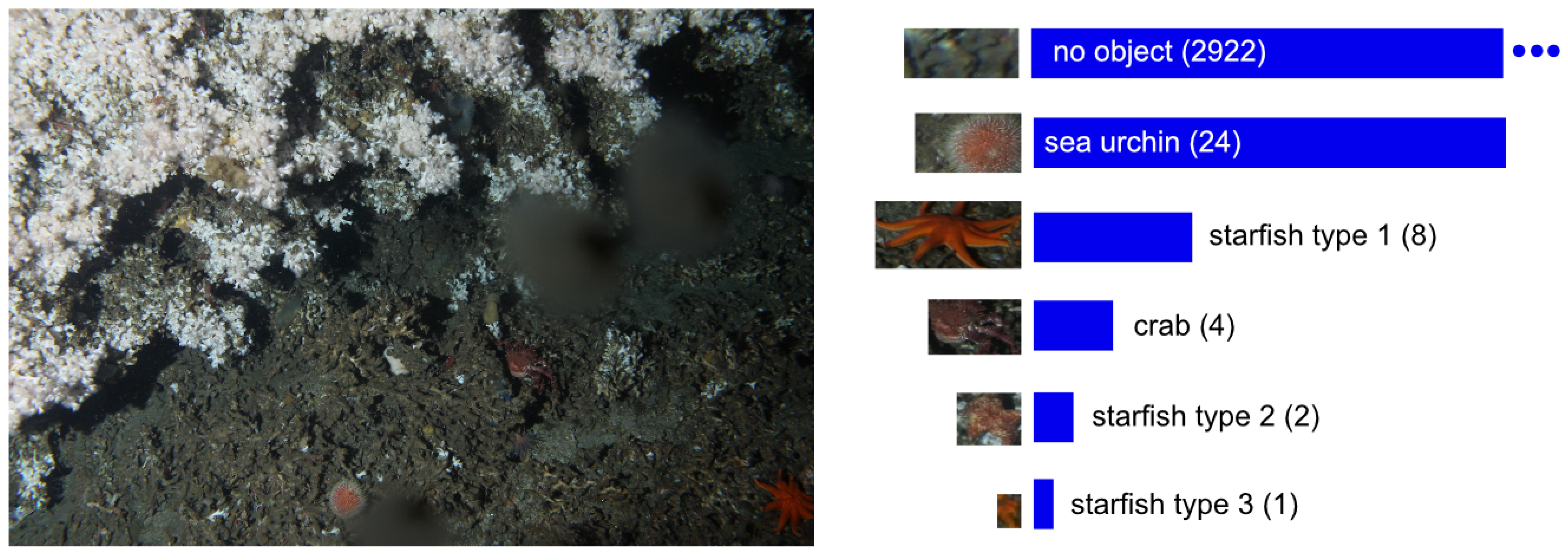 Sensors 21 01134 g002