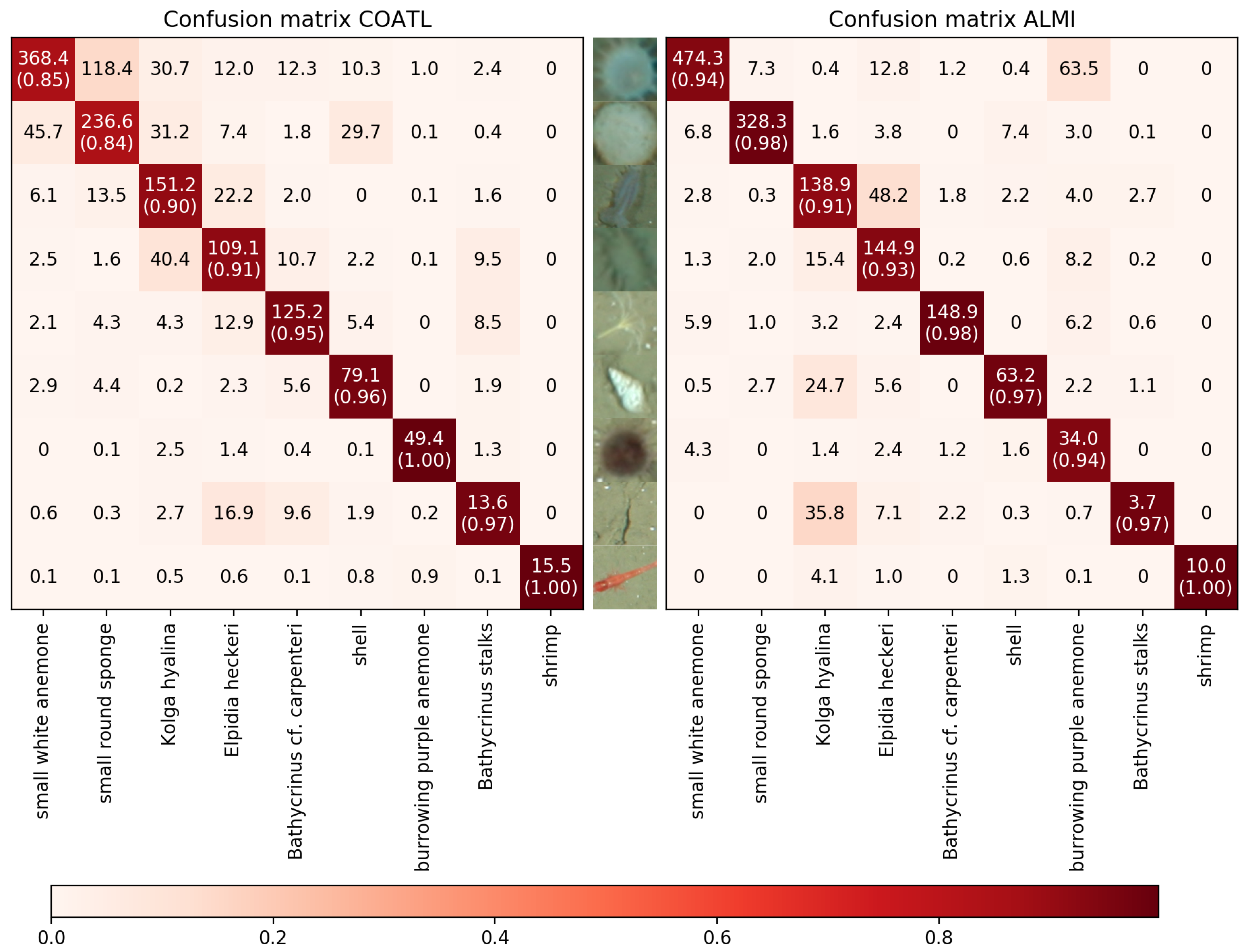 Sensors 21 01134 g006