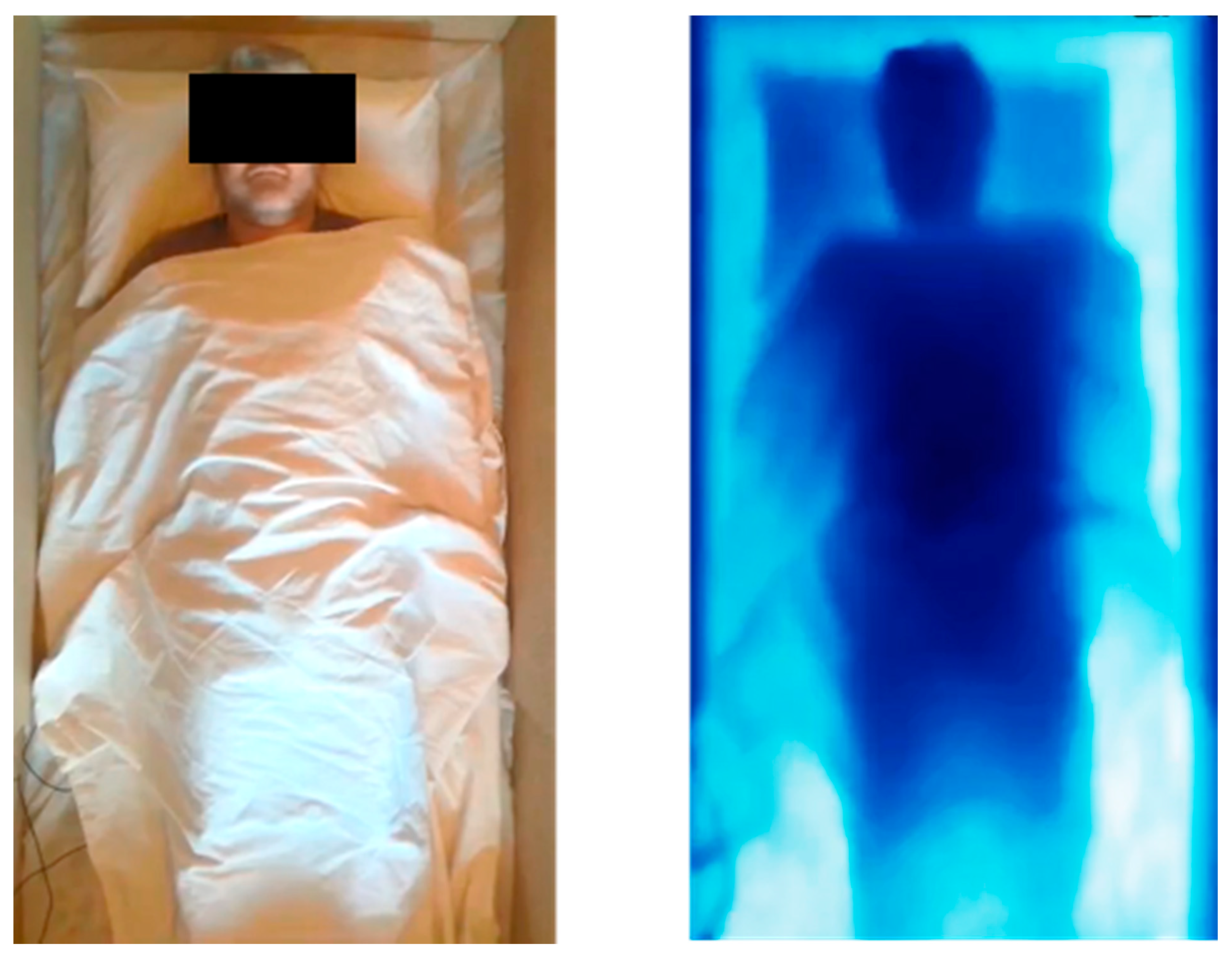 Sensors 21 01135 g001