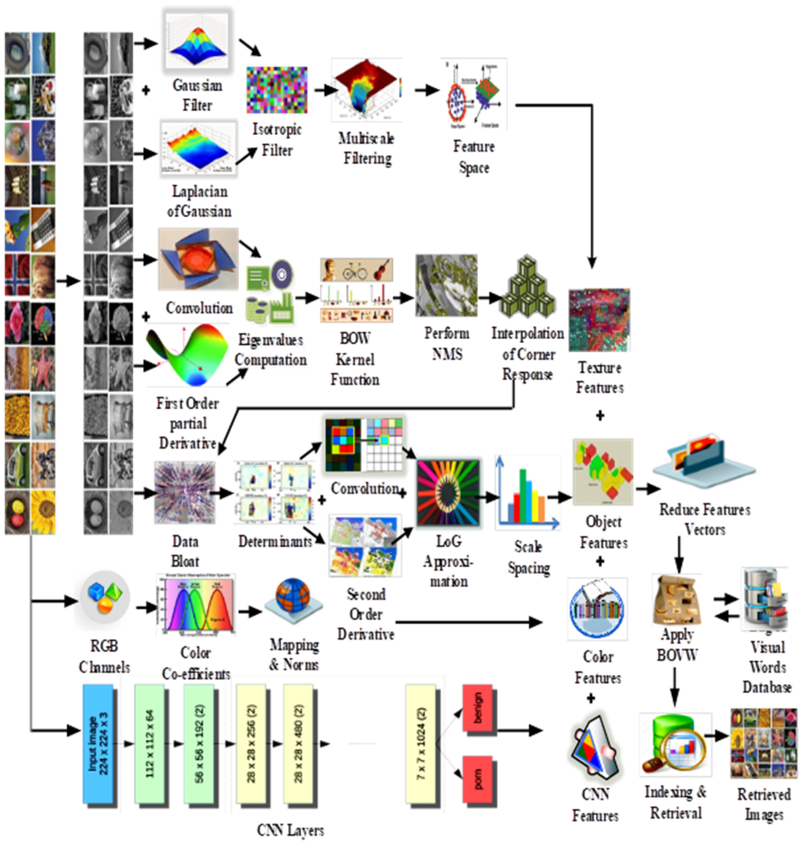 Sensors 21 01139 g001 Sensors 21 01139 g001