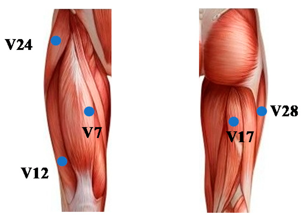 Sensors 21 01147 g016