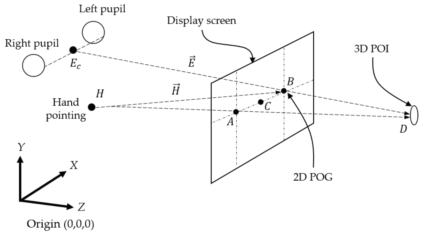 Sensors 21 01155 g001