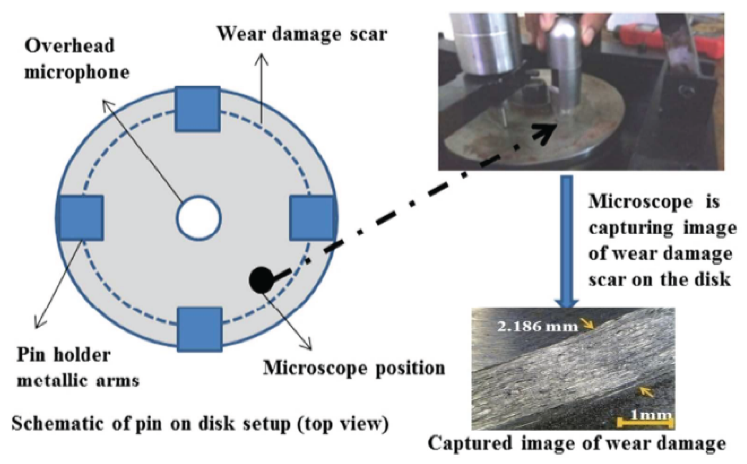 Sensors 21 01160 g002
