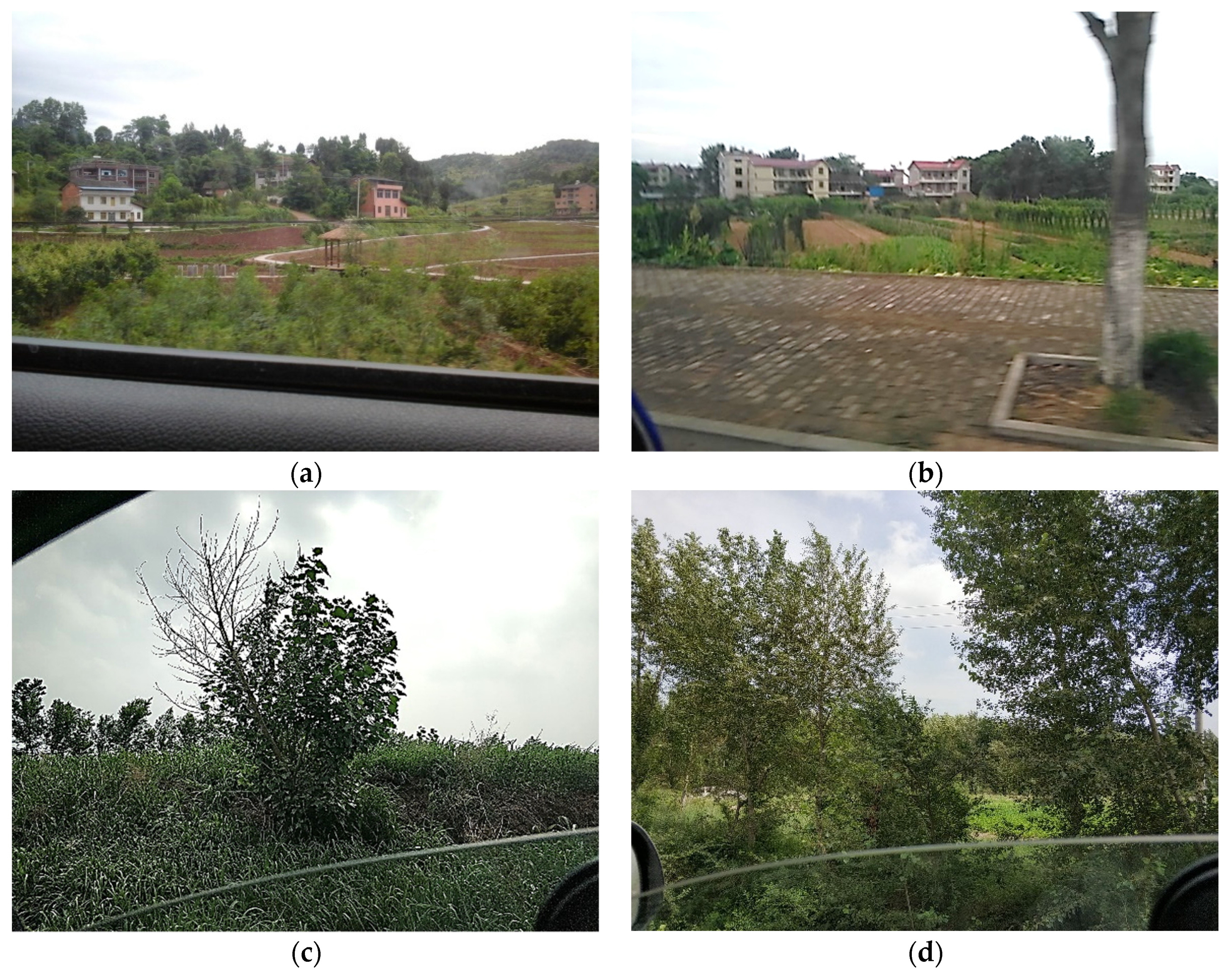 Sensors 21 01165 g007