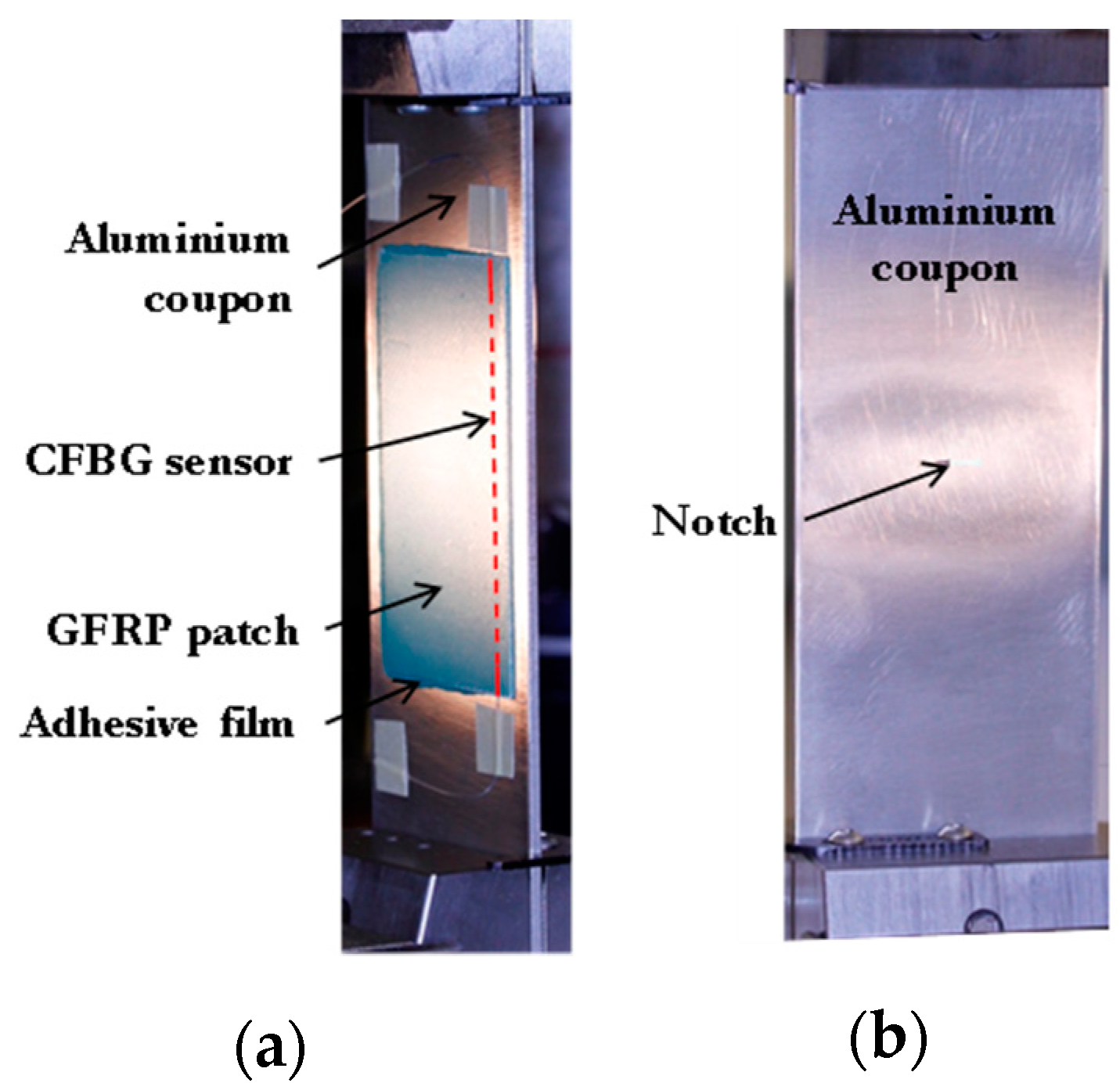 Sensors 21 01168 g002