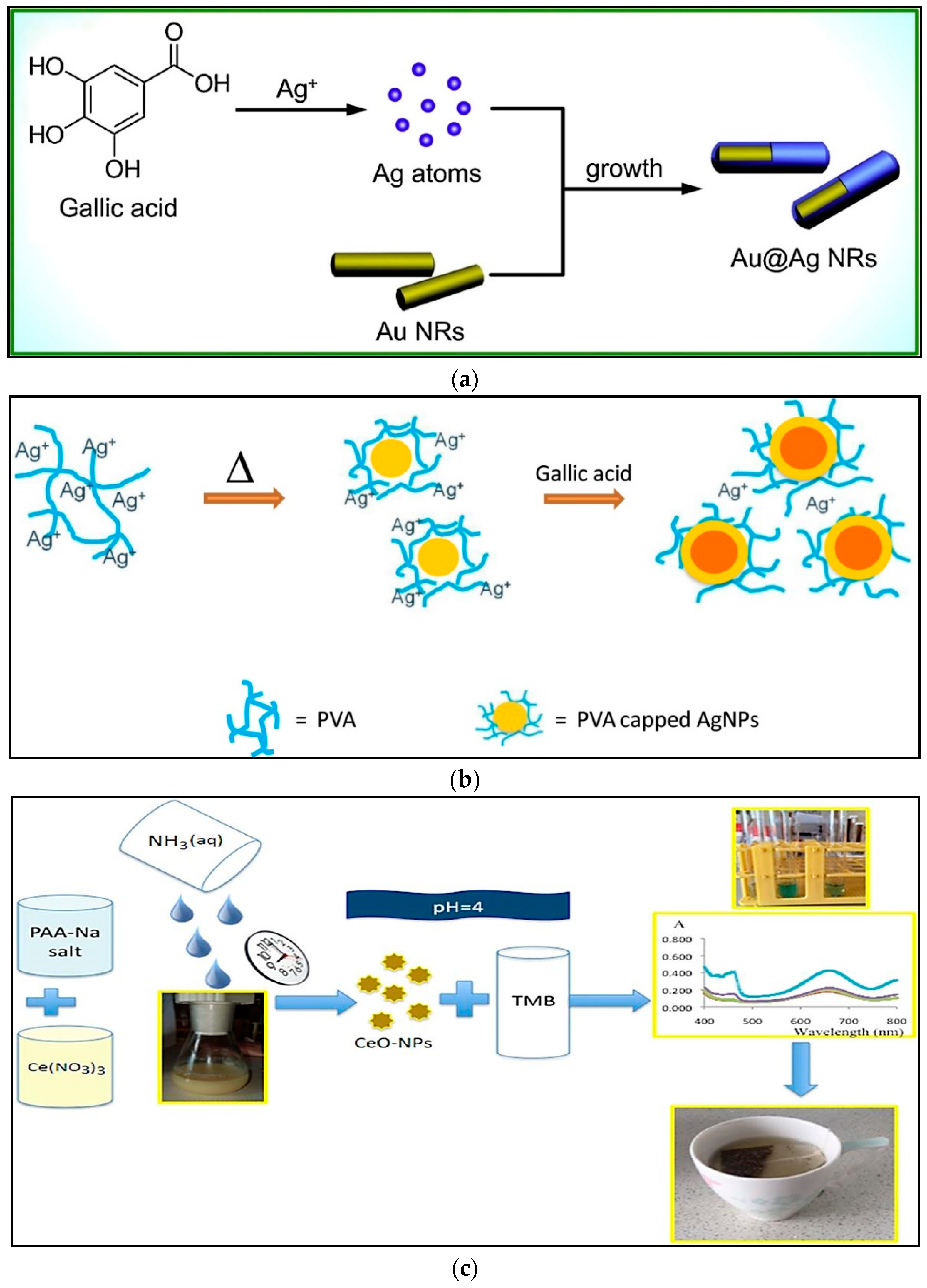Sensors 21 01176 g001