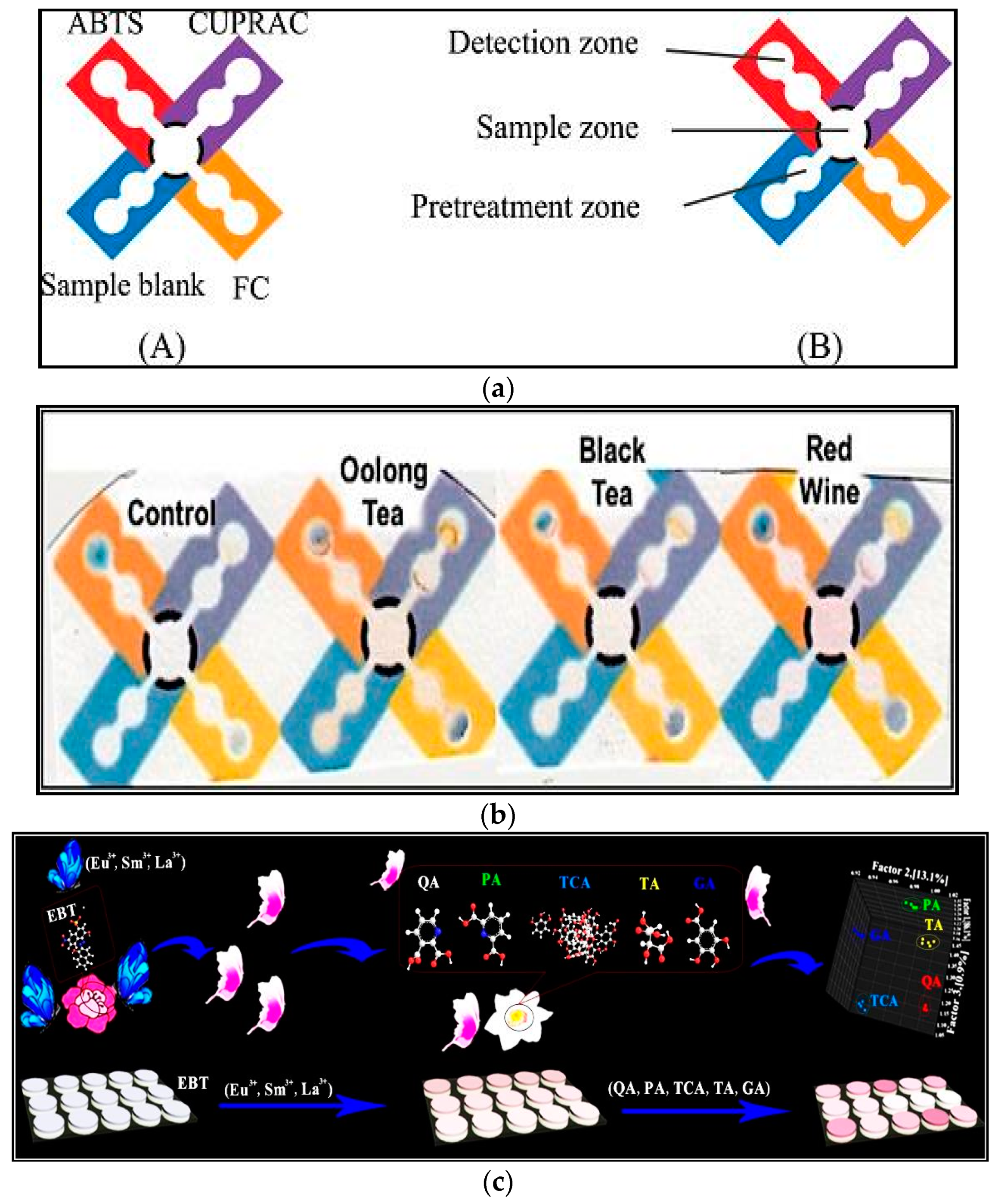 Sensors 21 01176 g002