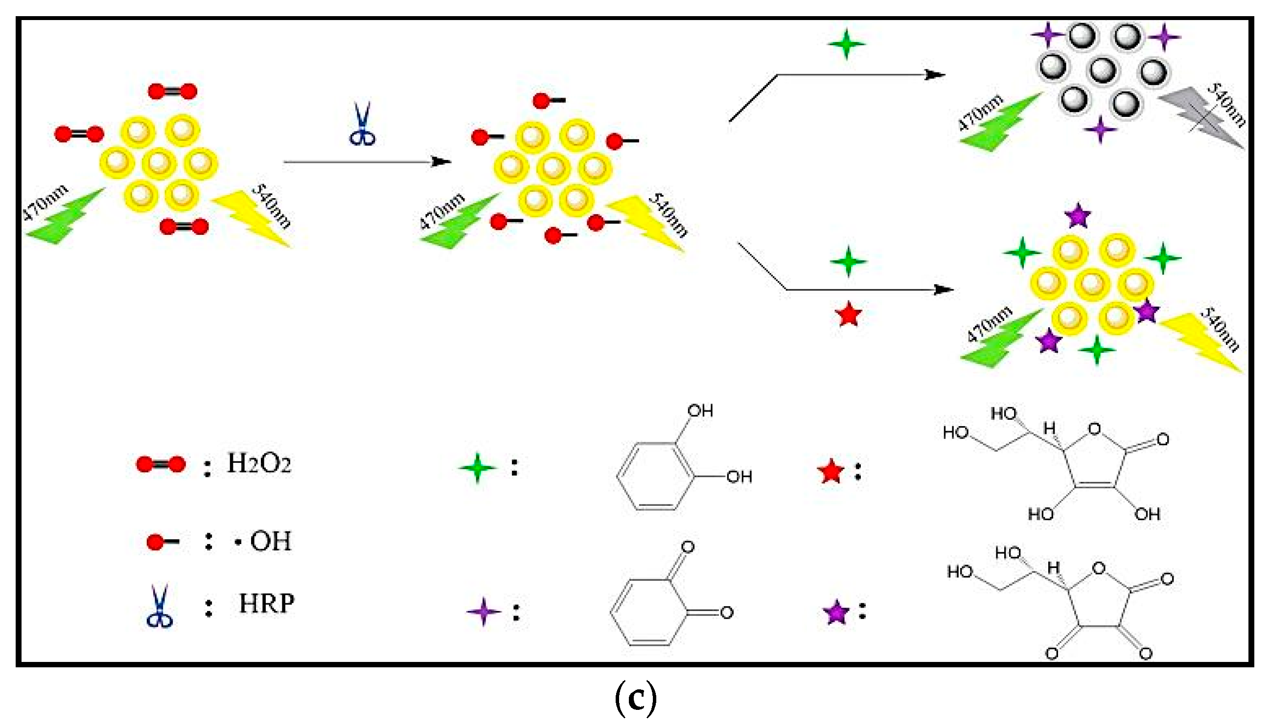 Sensors 21 01176 g003b