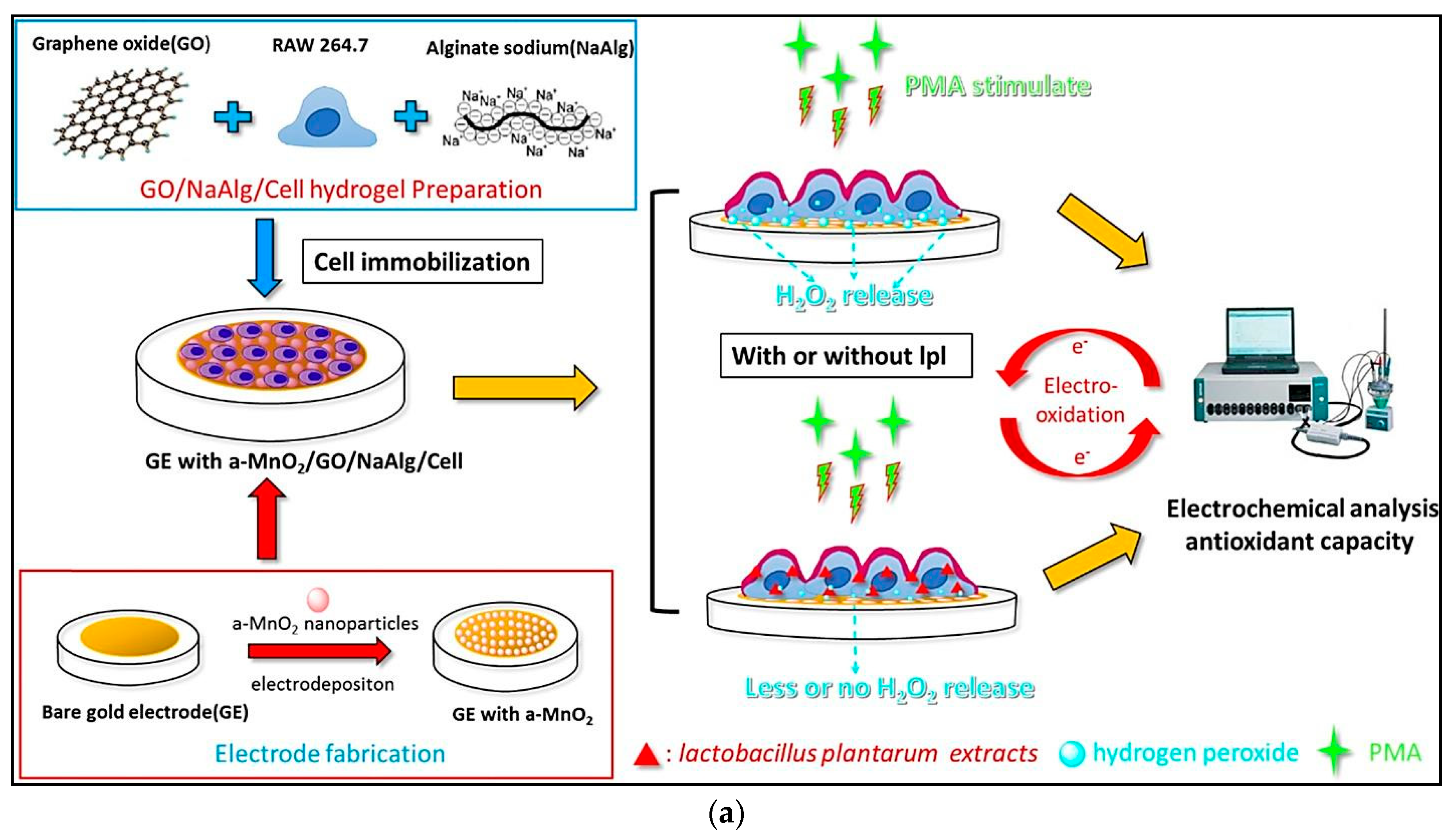 Sensors 21 01176 g005a