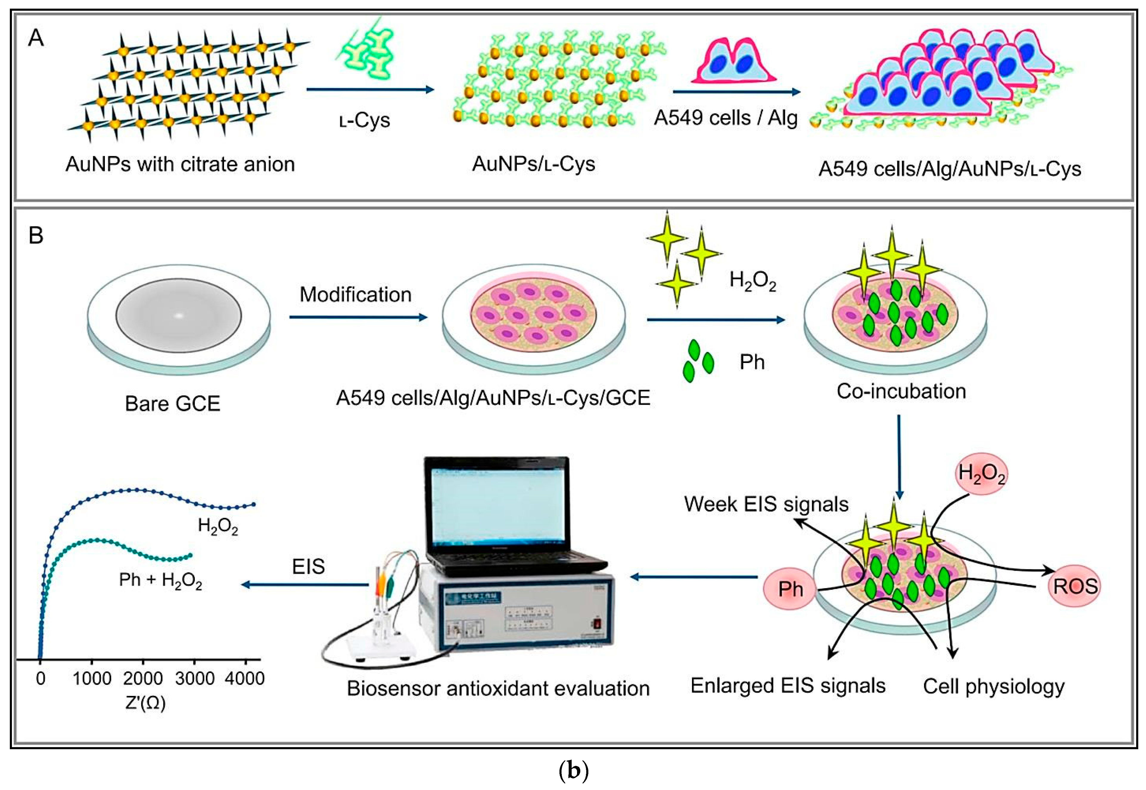 Sensors 21 01176 g005b