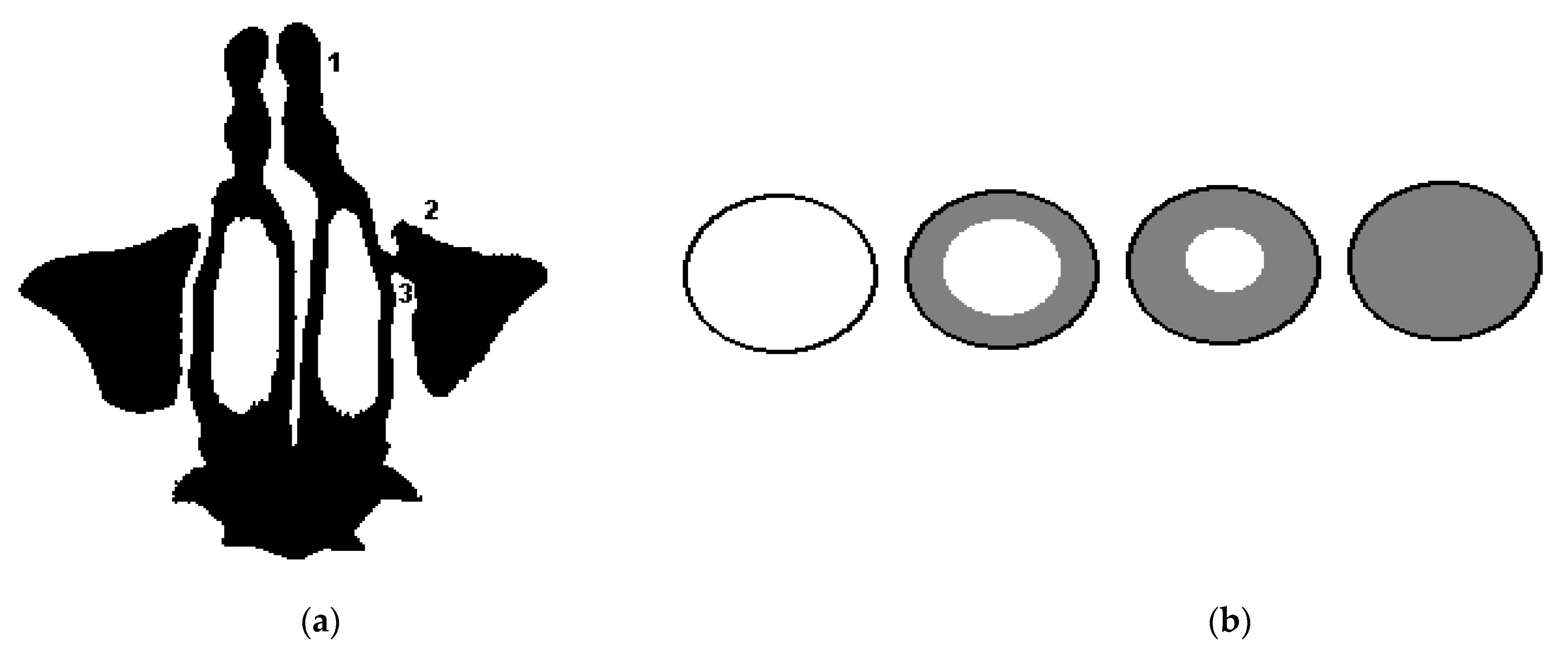 Sensors 21 01198 g003