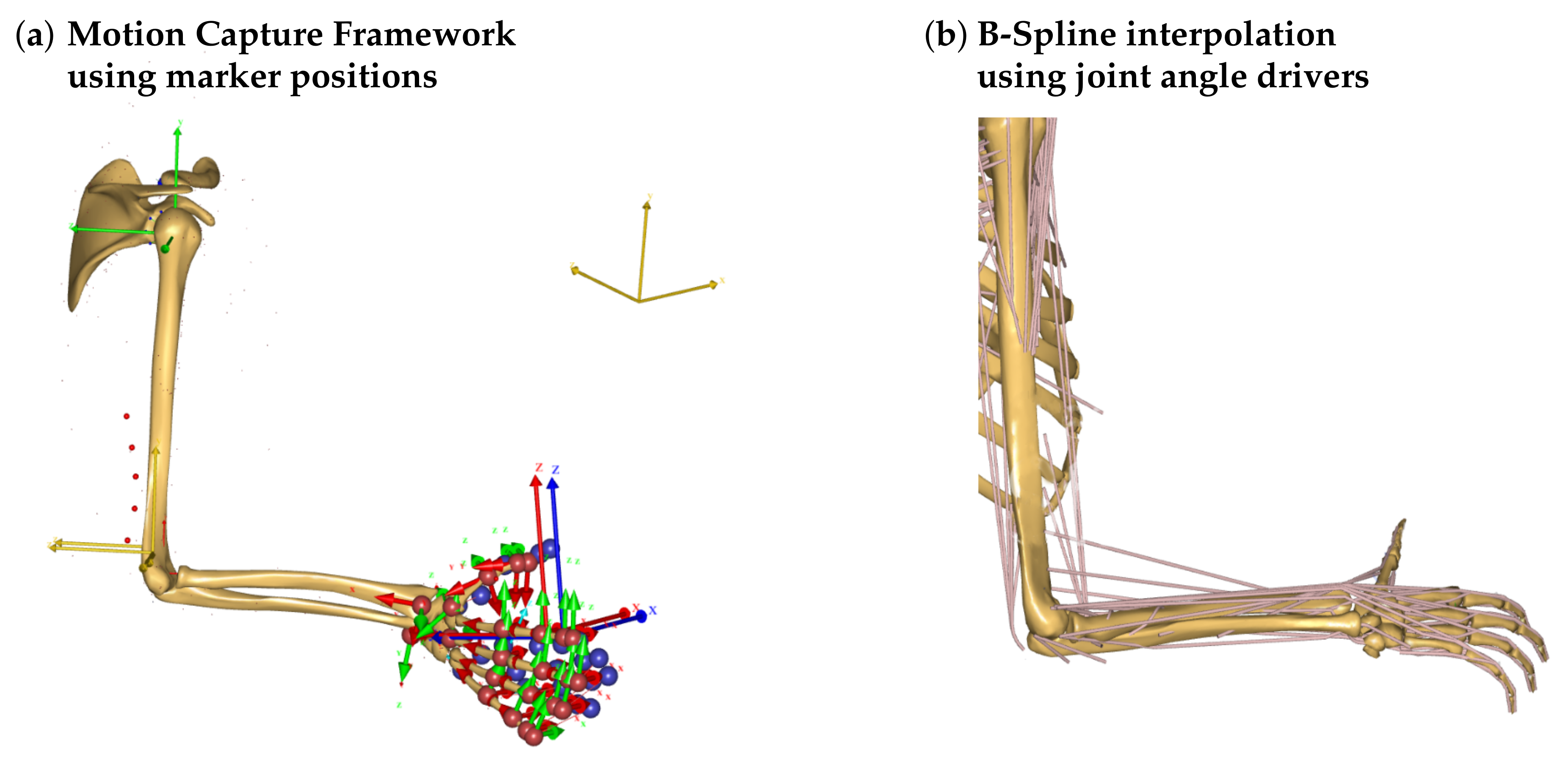 Sensors 21 01199 g001 Sensors 21 01199 g001