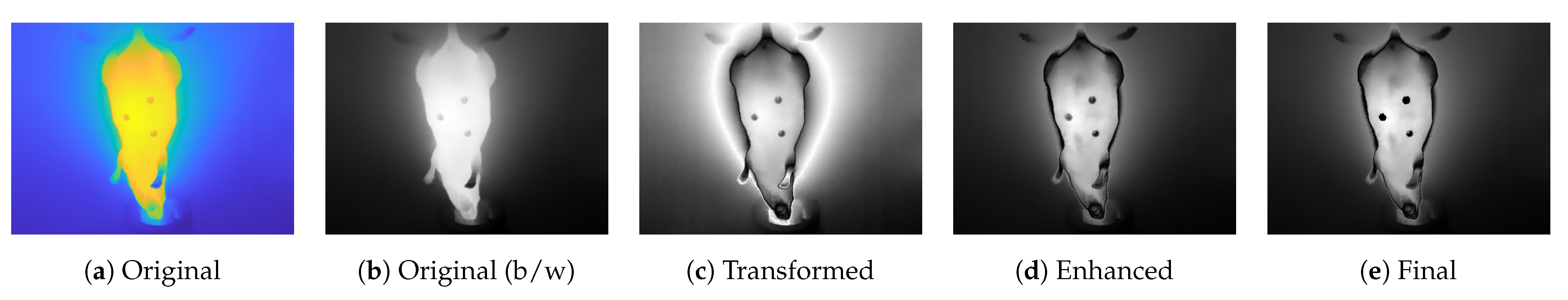 Sensors 21 01200 g003 Sensors 21 01200 g003