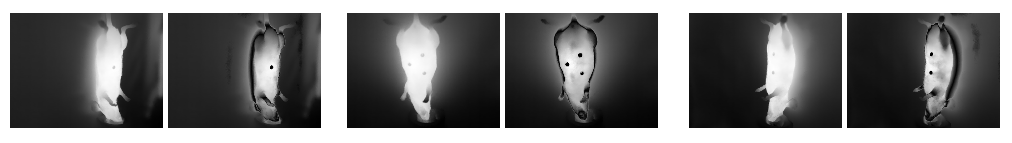 Sensors 21 01200 g004 Sensors 21 01200 g004