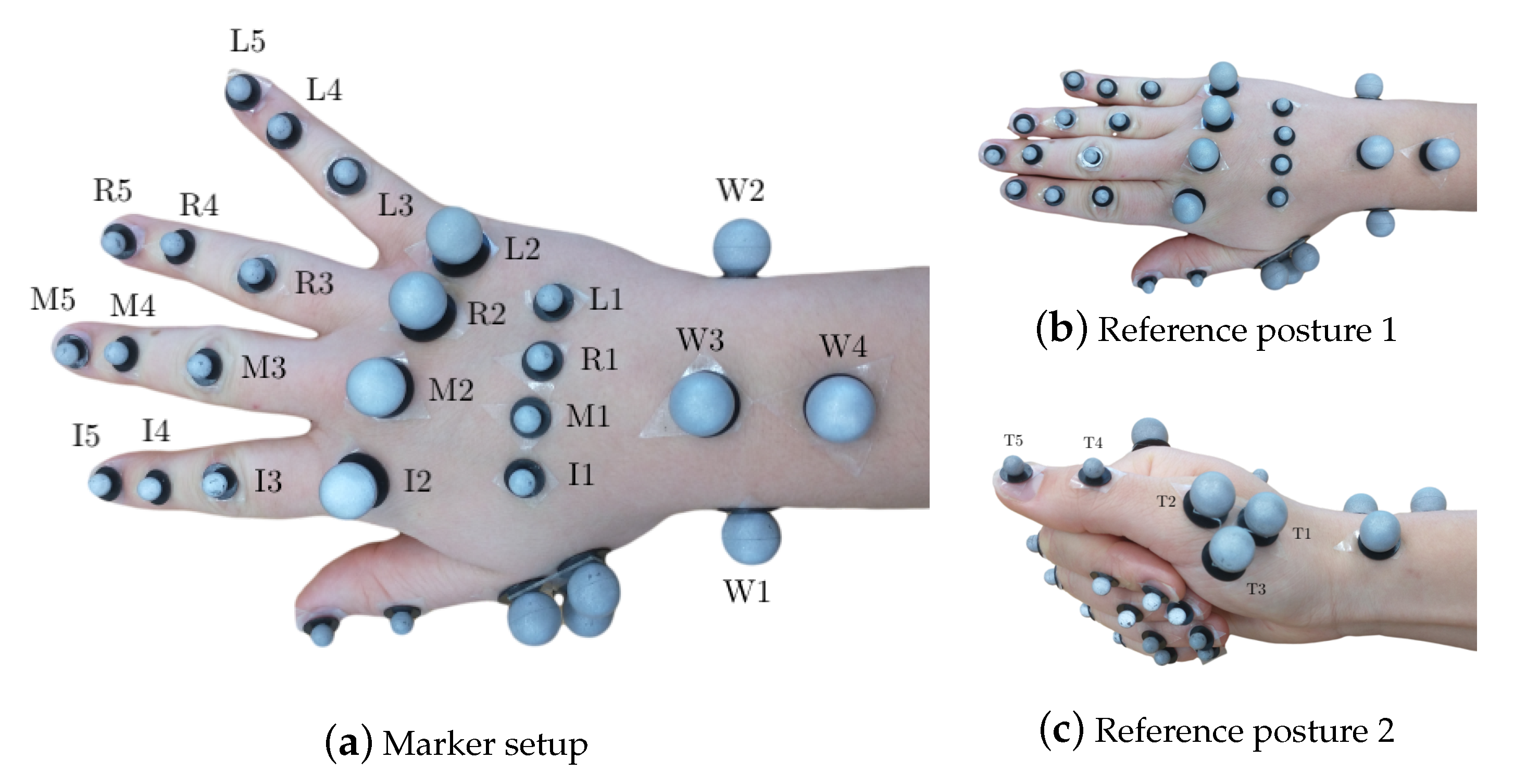 Sensors 21 01208 g001