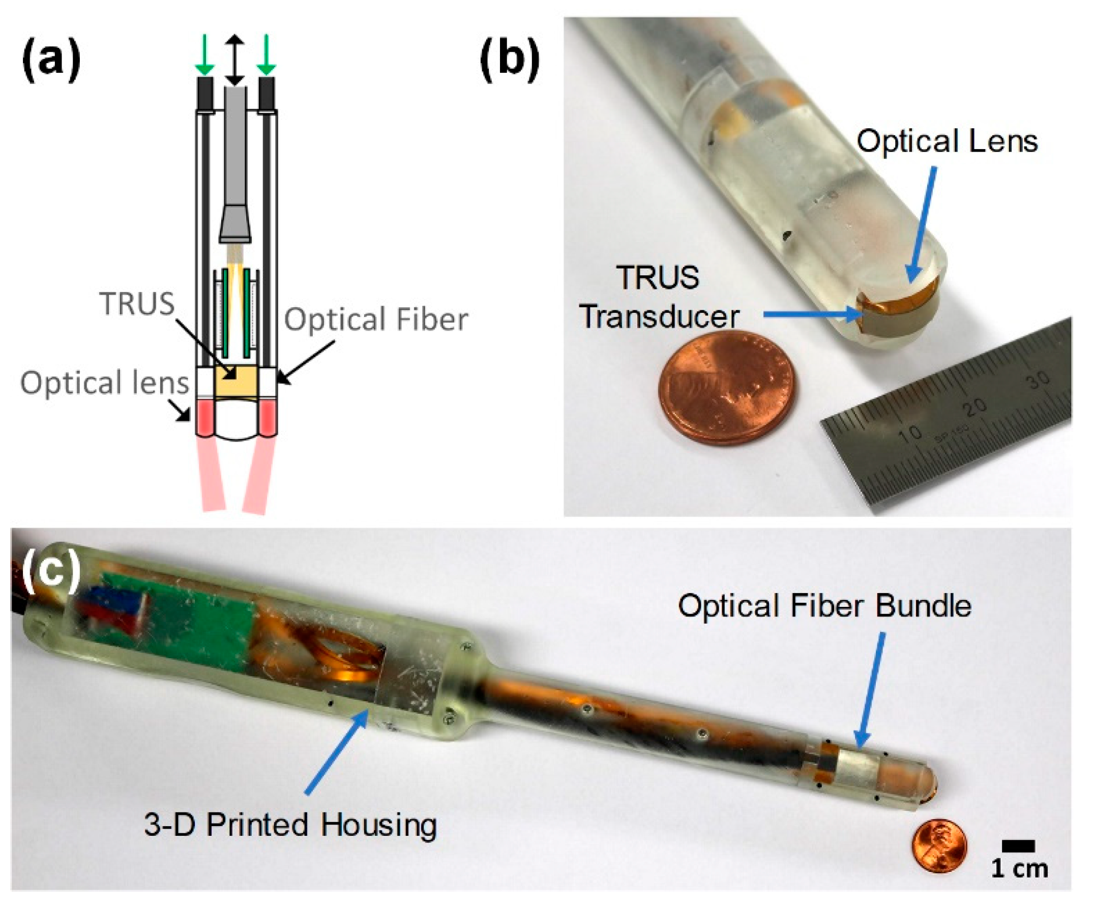Sensors 21 01217 g001