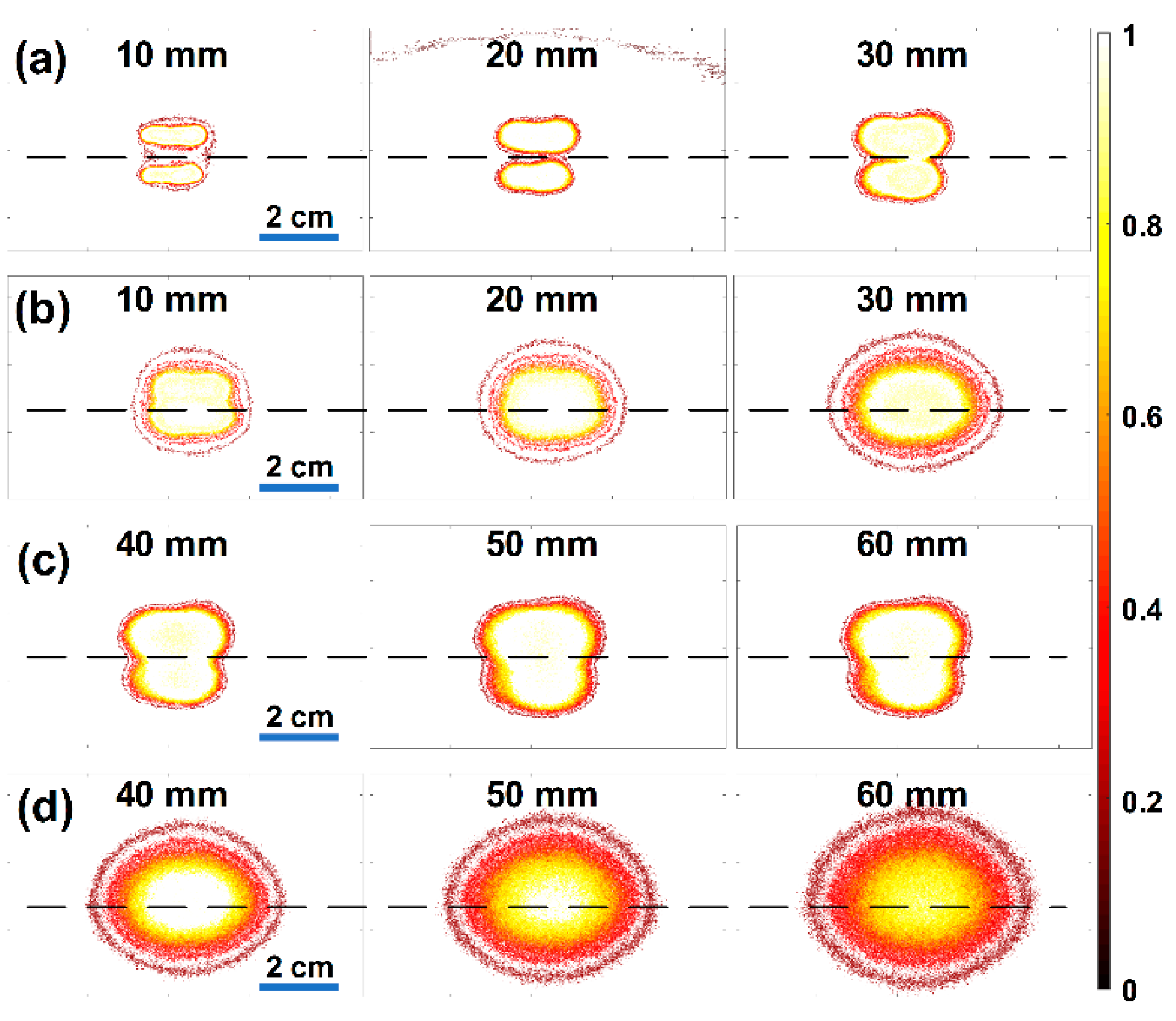 Sensors 21 01217 g007