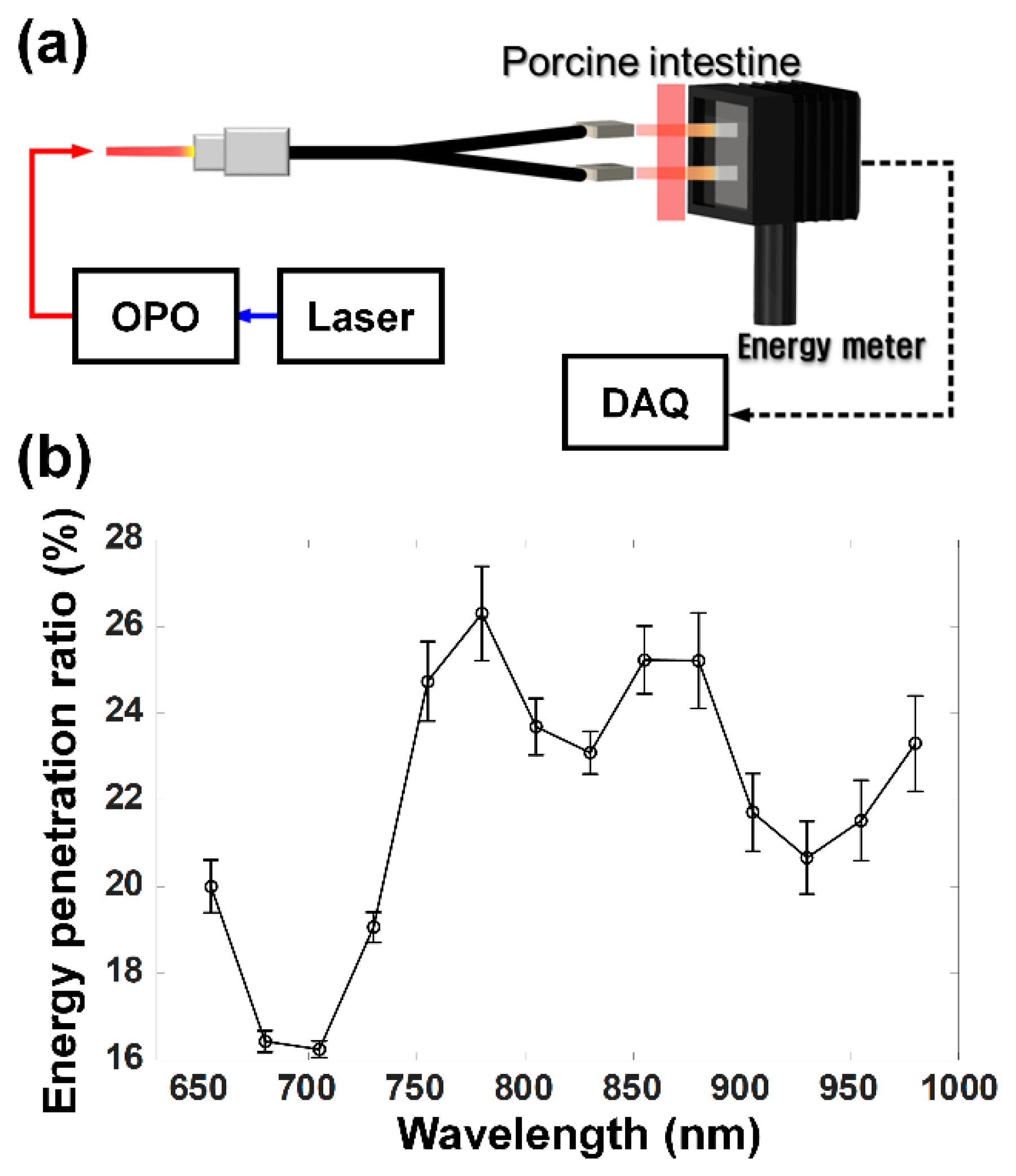 Sensors 21 01217 g010