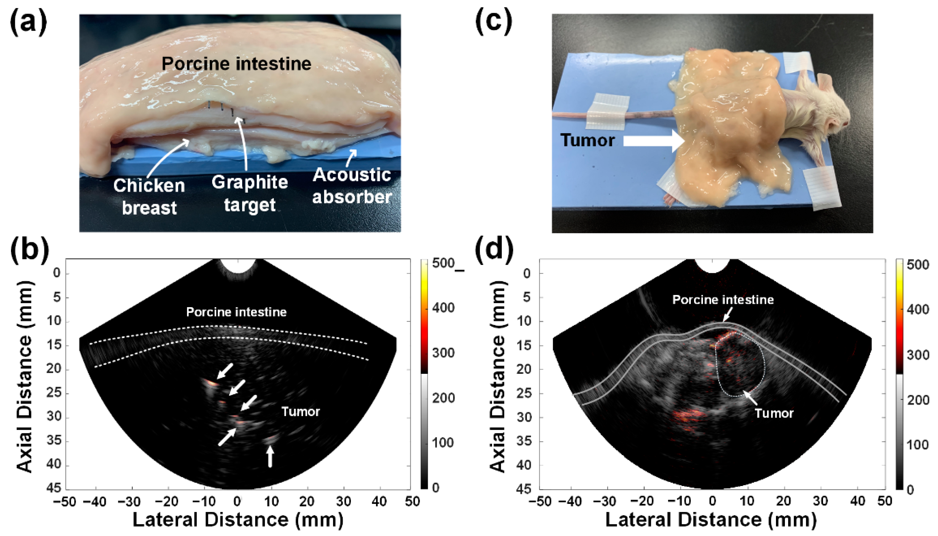 Sensors 21 01217 g011