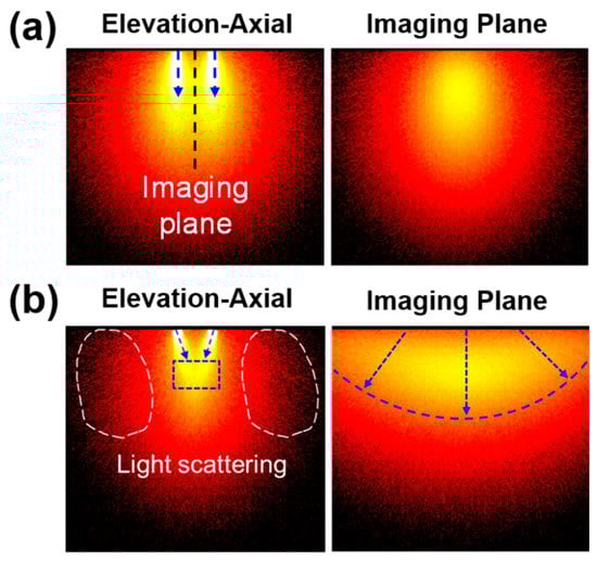 Sensors 21 01217 g0a3