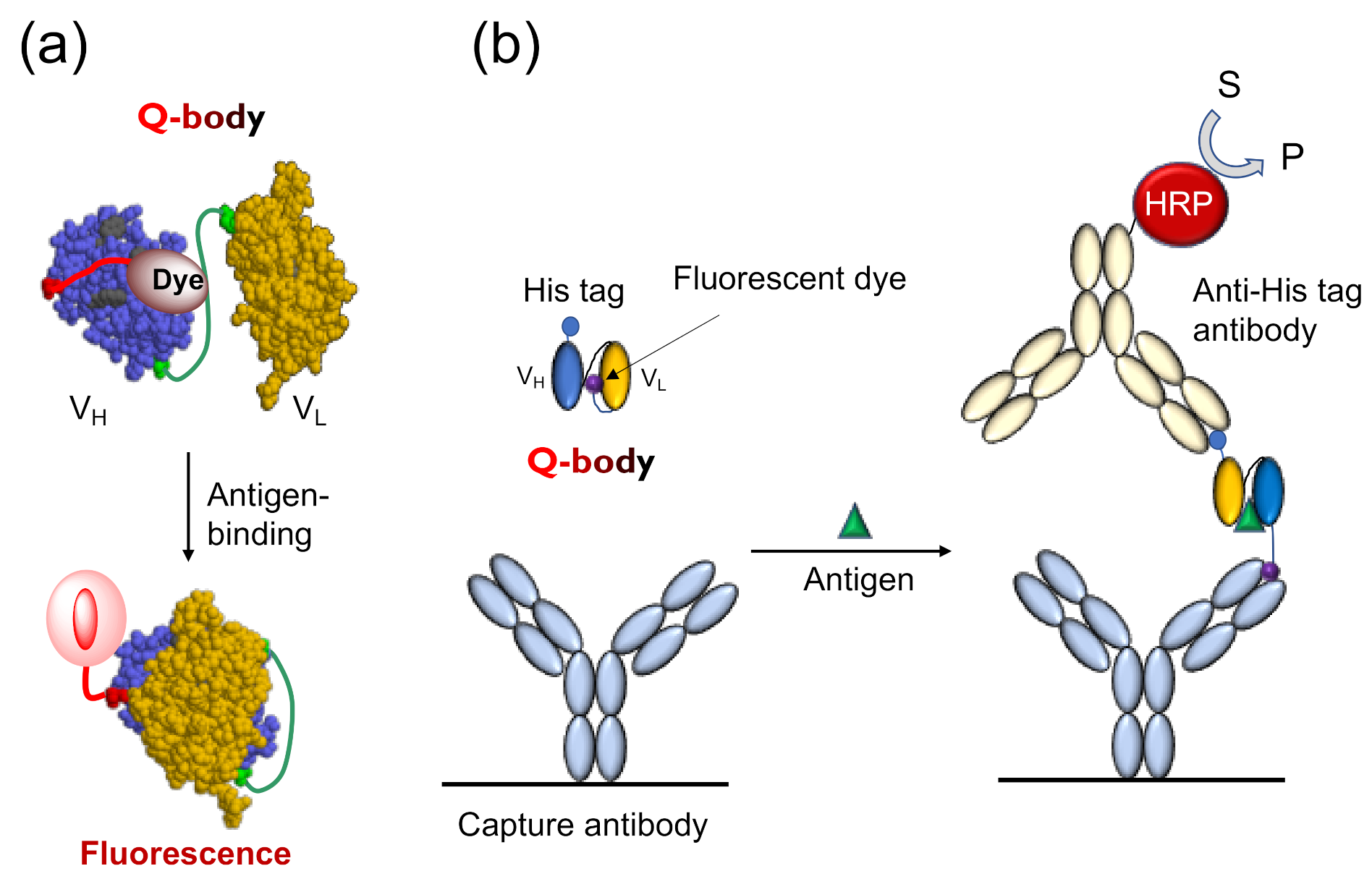 Sensors 21 01223 g001 Sensors 21 01223 g001