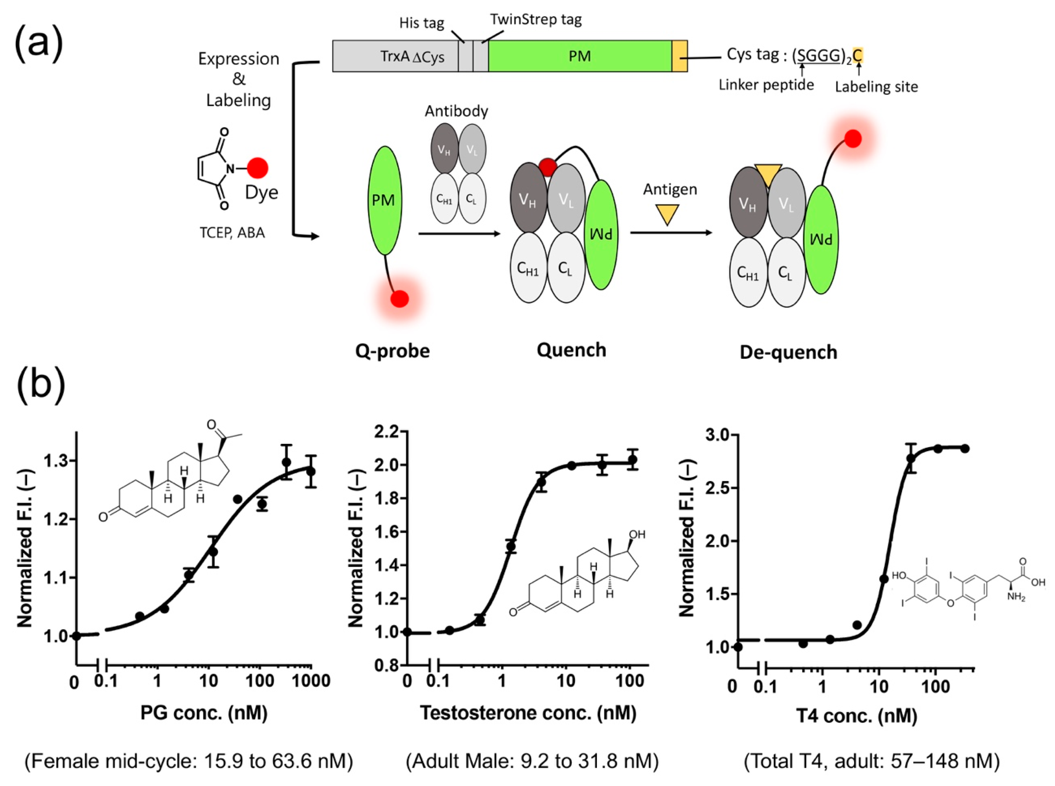 Sensors 21 01223 g006 Sensors 21 01223 g006