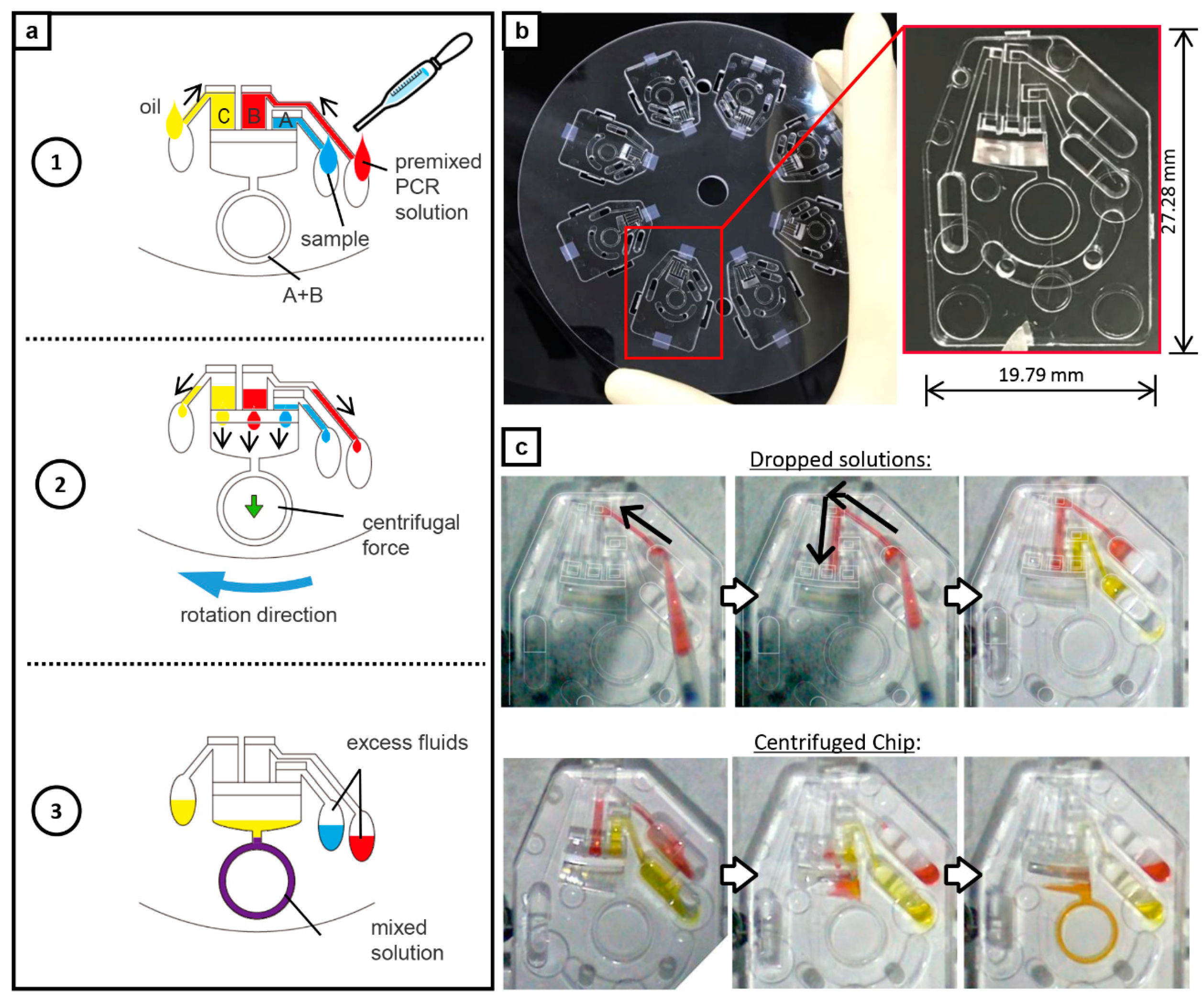 Sensors 21 01225 g002