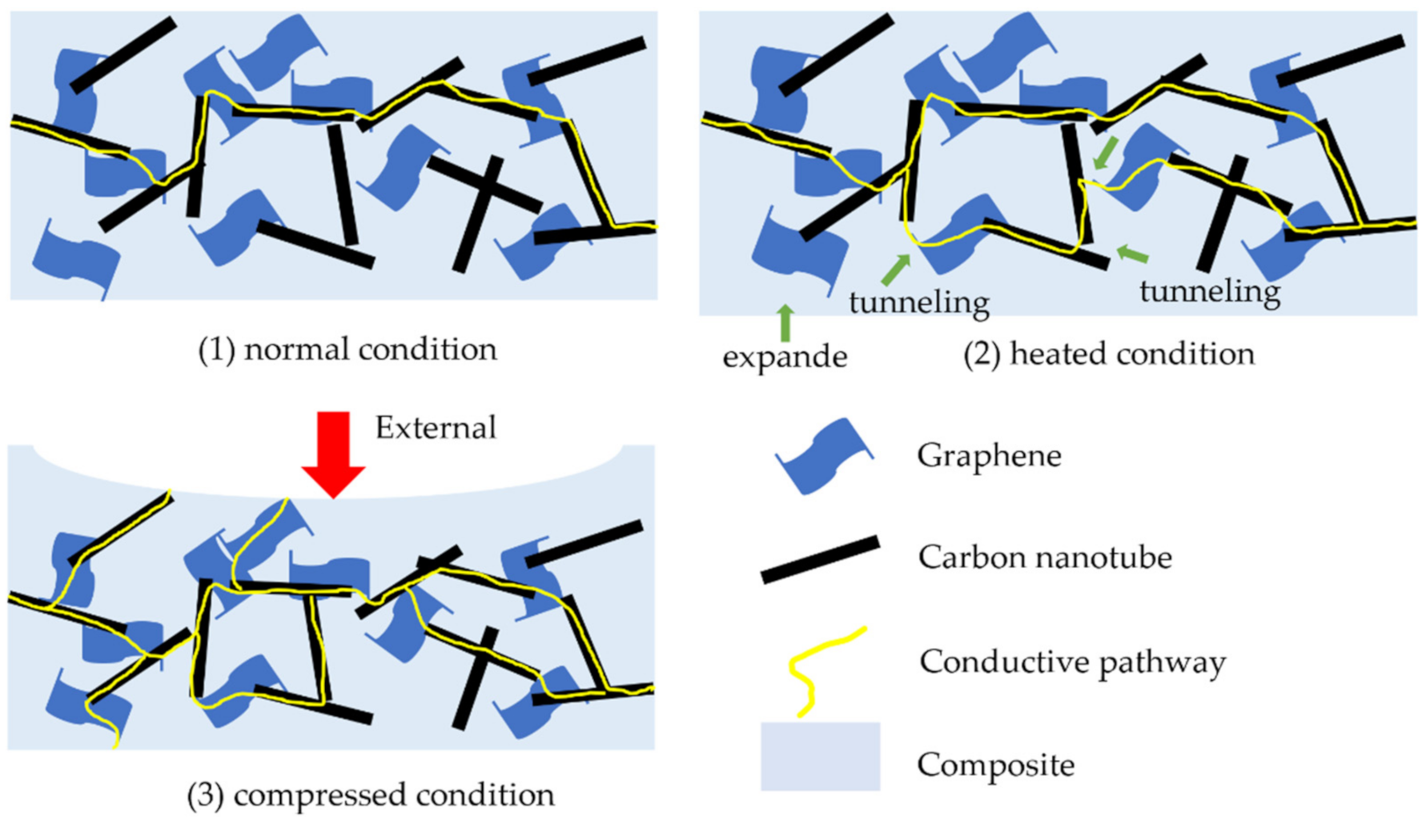 Sensors 21 01234 g002