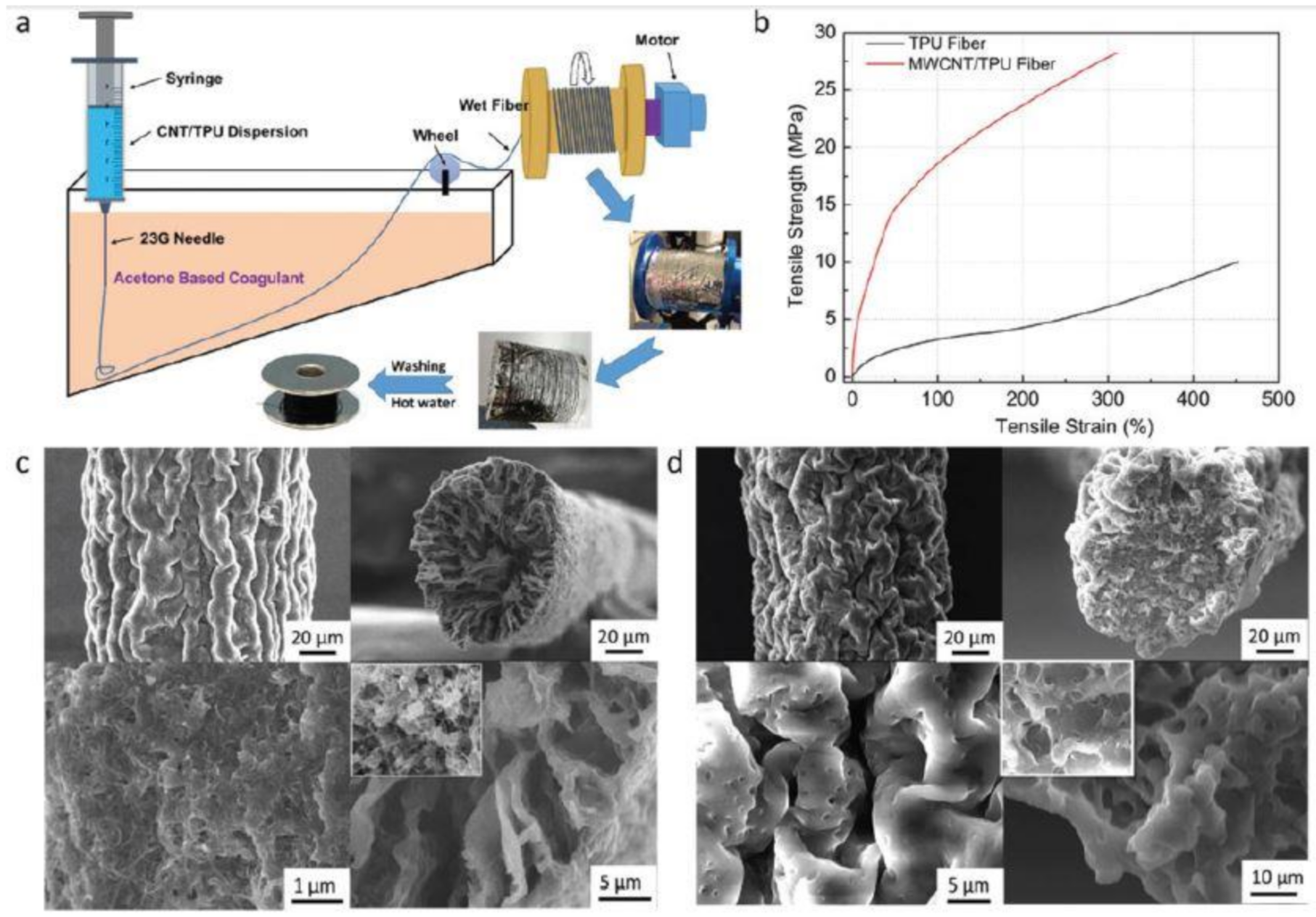 Sensors 21 01261 g005