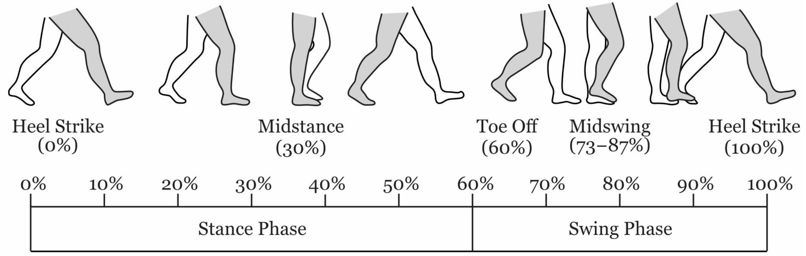 Sensors 21 01264 g001