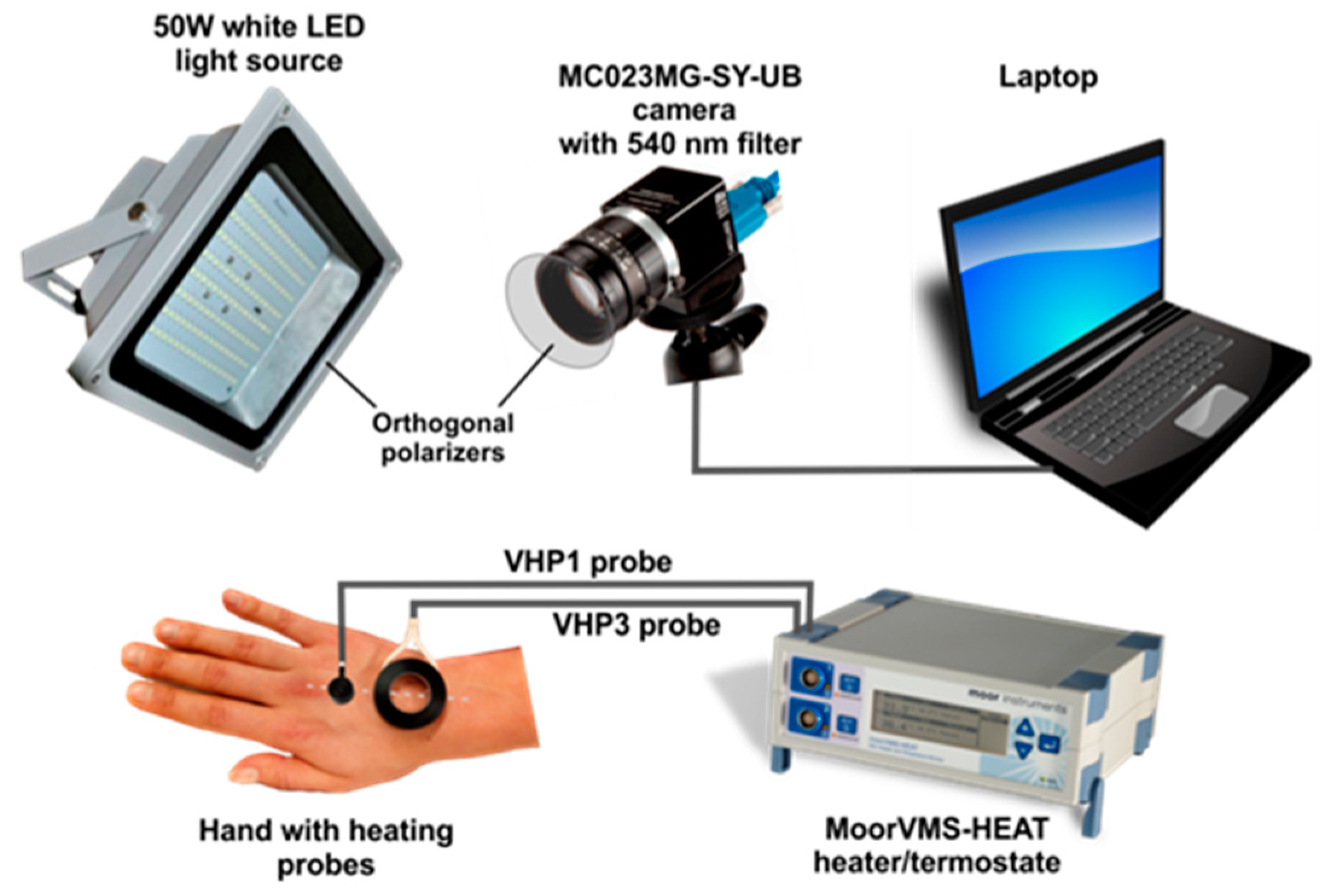 Sensors 21 01272 g001