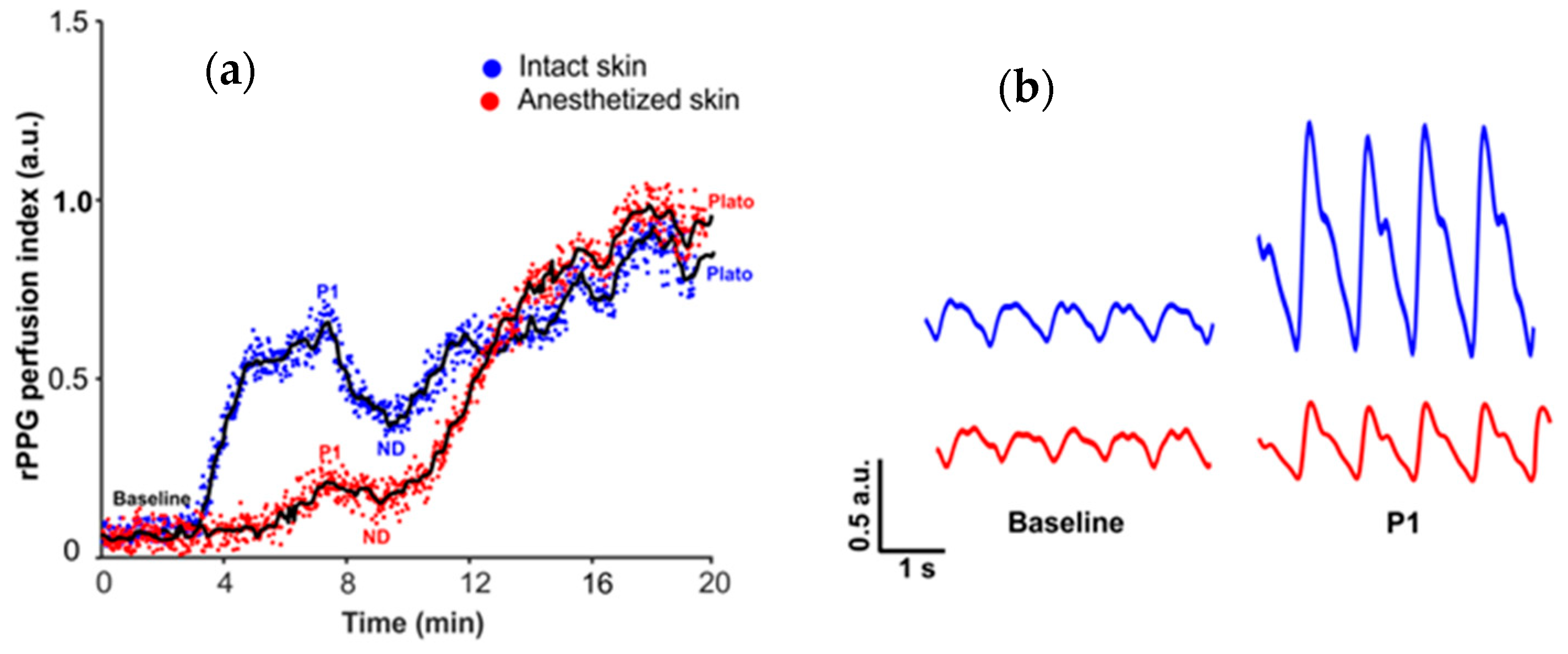 Sensors 21 01272 g004