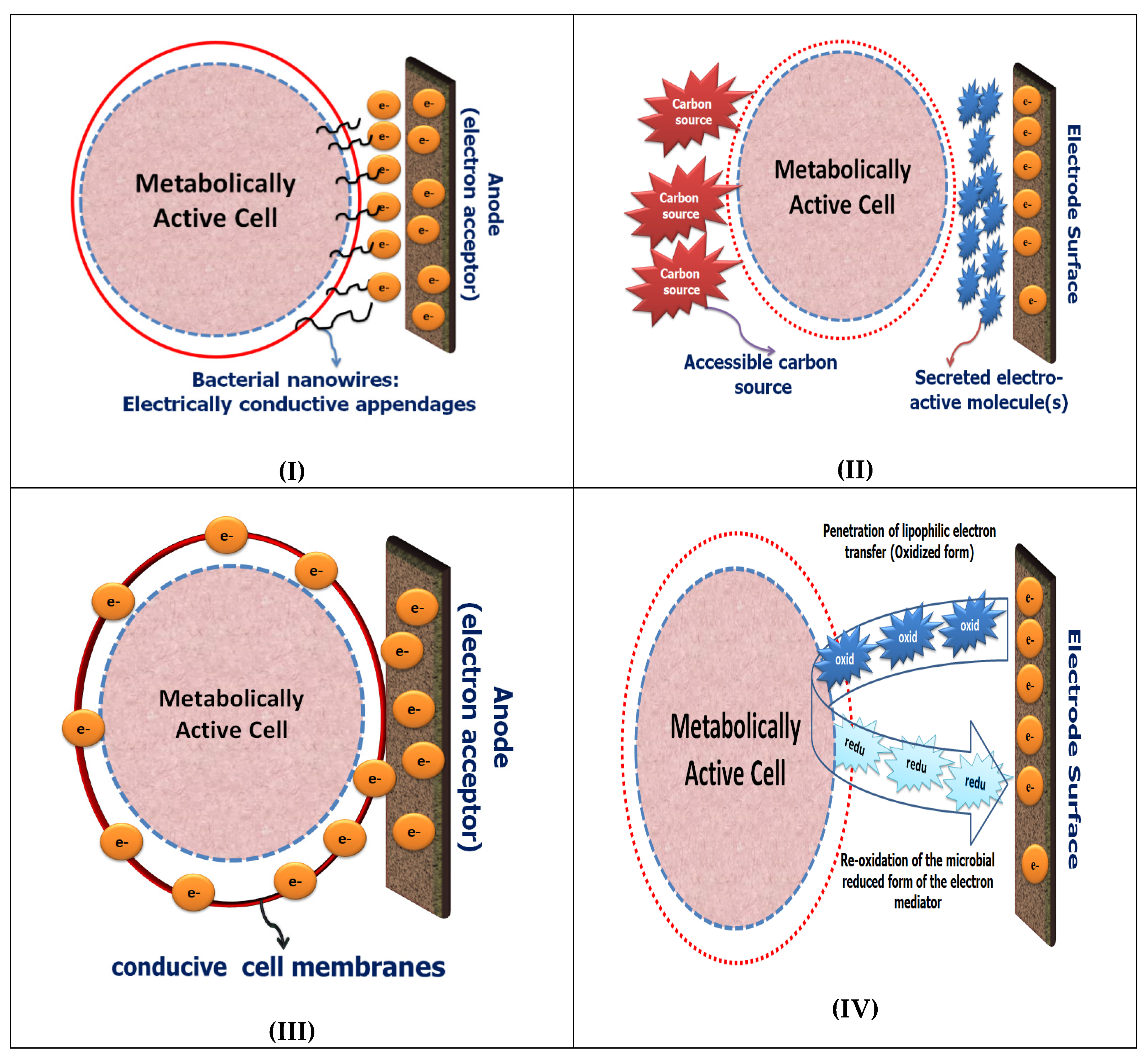 Sensors 21 01279 g002 Sensors 21 01279 g002