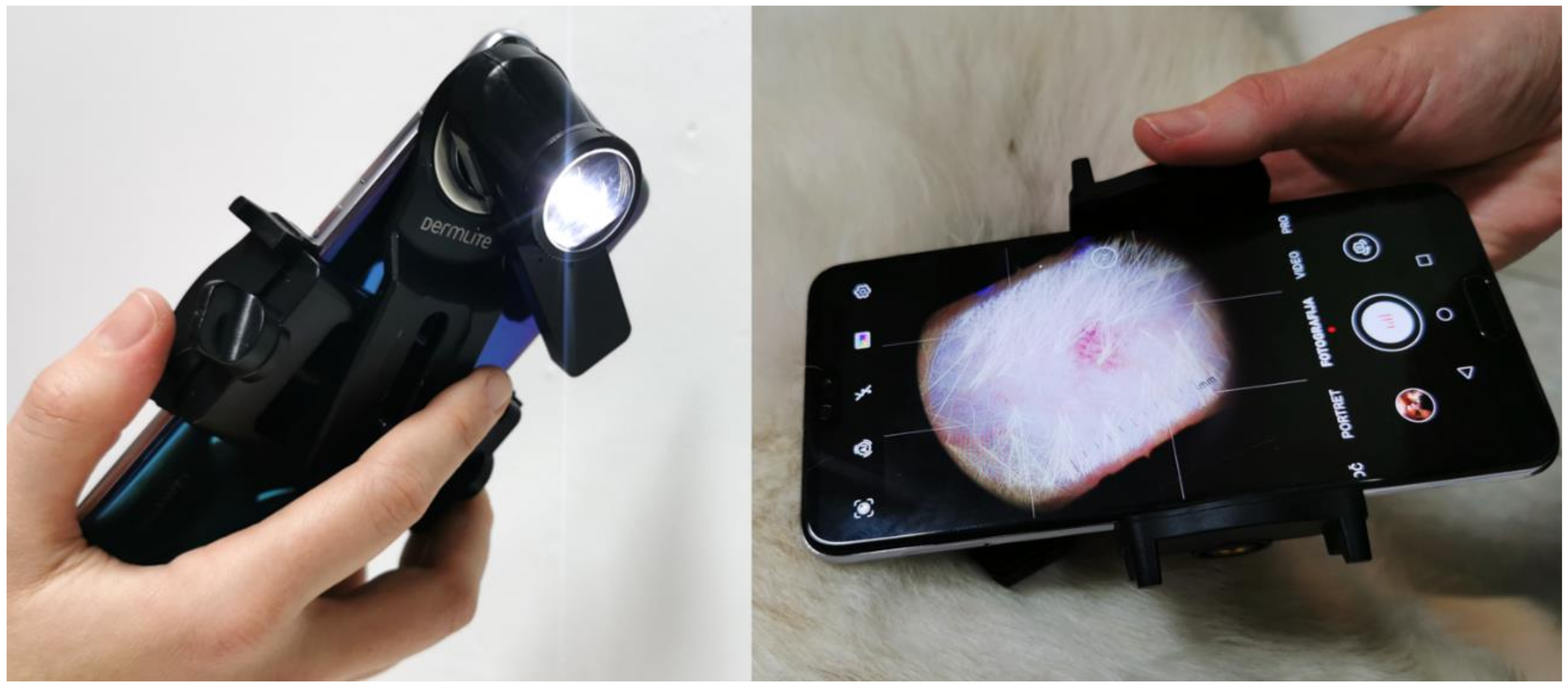 Sensors 21 01285 g003