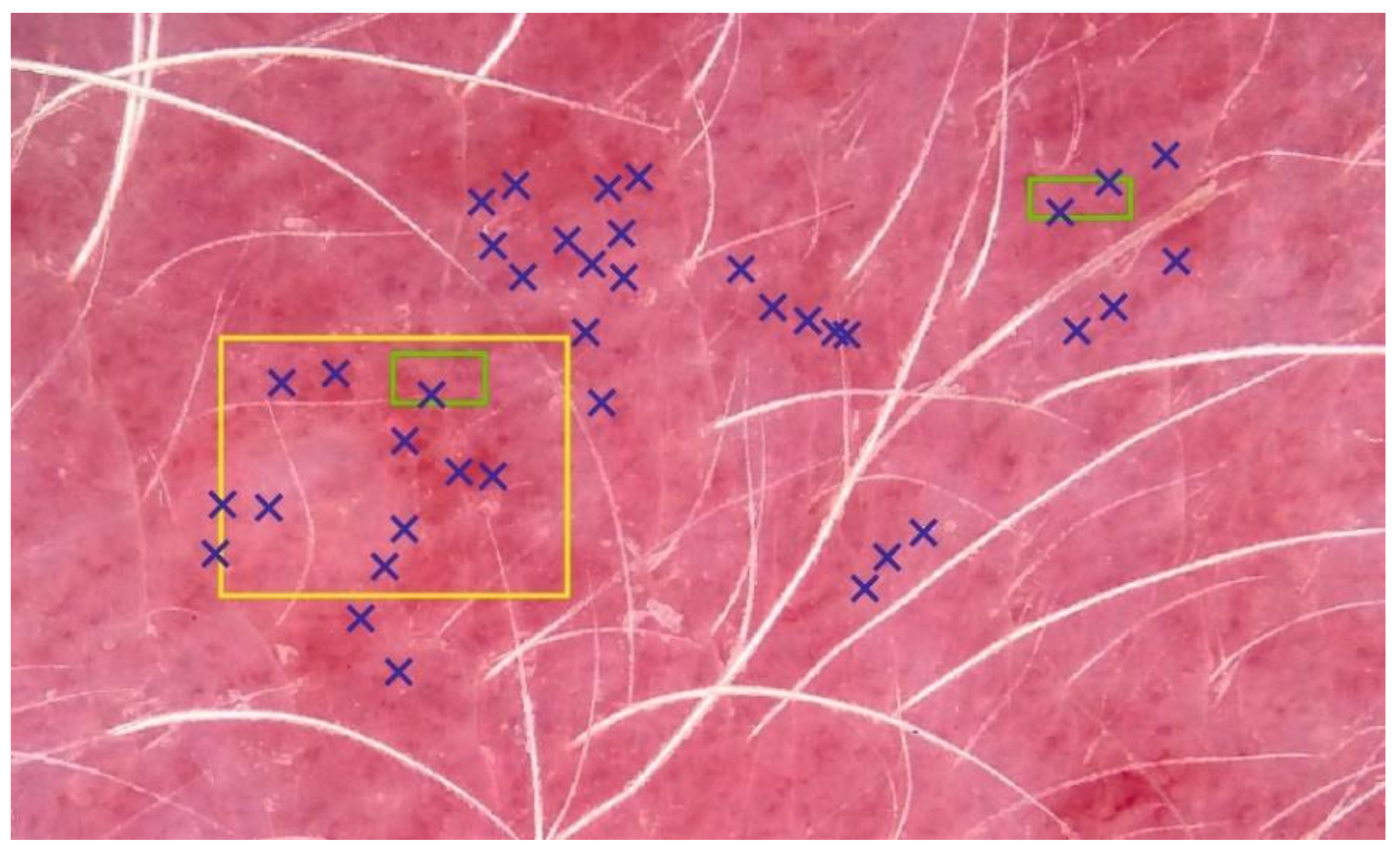 Sensors 21 01285 g004