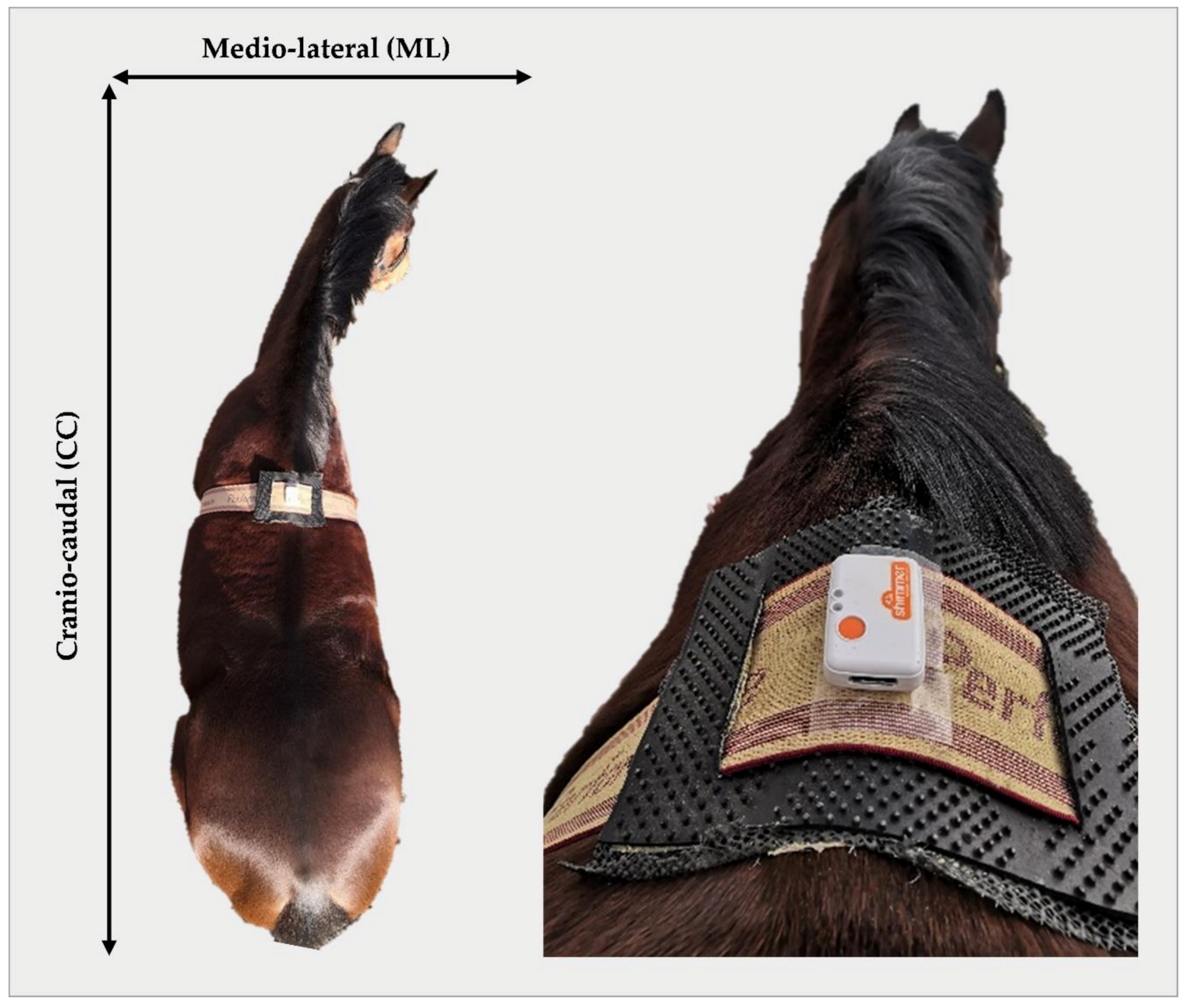 Sensors 21 01286 g001