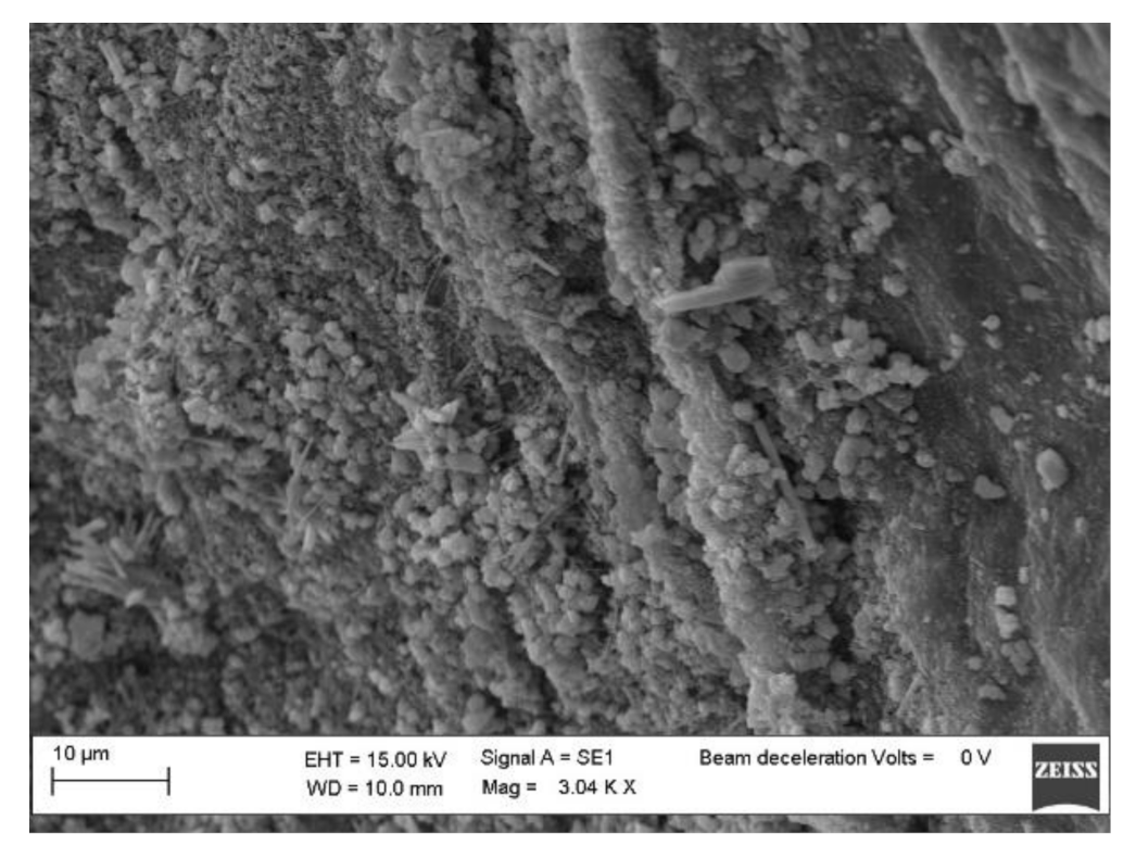 Sensors 21 01295 g005 Sensors 21 01295 g005