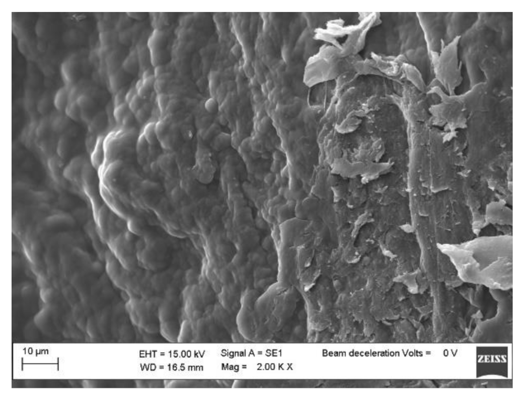 Sensors 21 01295 g006 Sensors 21 01295 g006