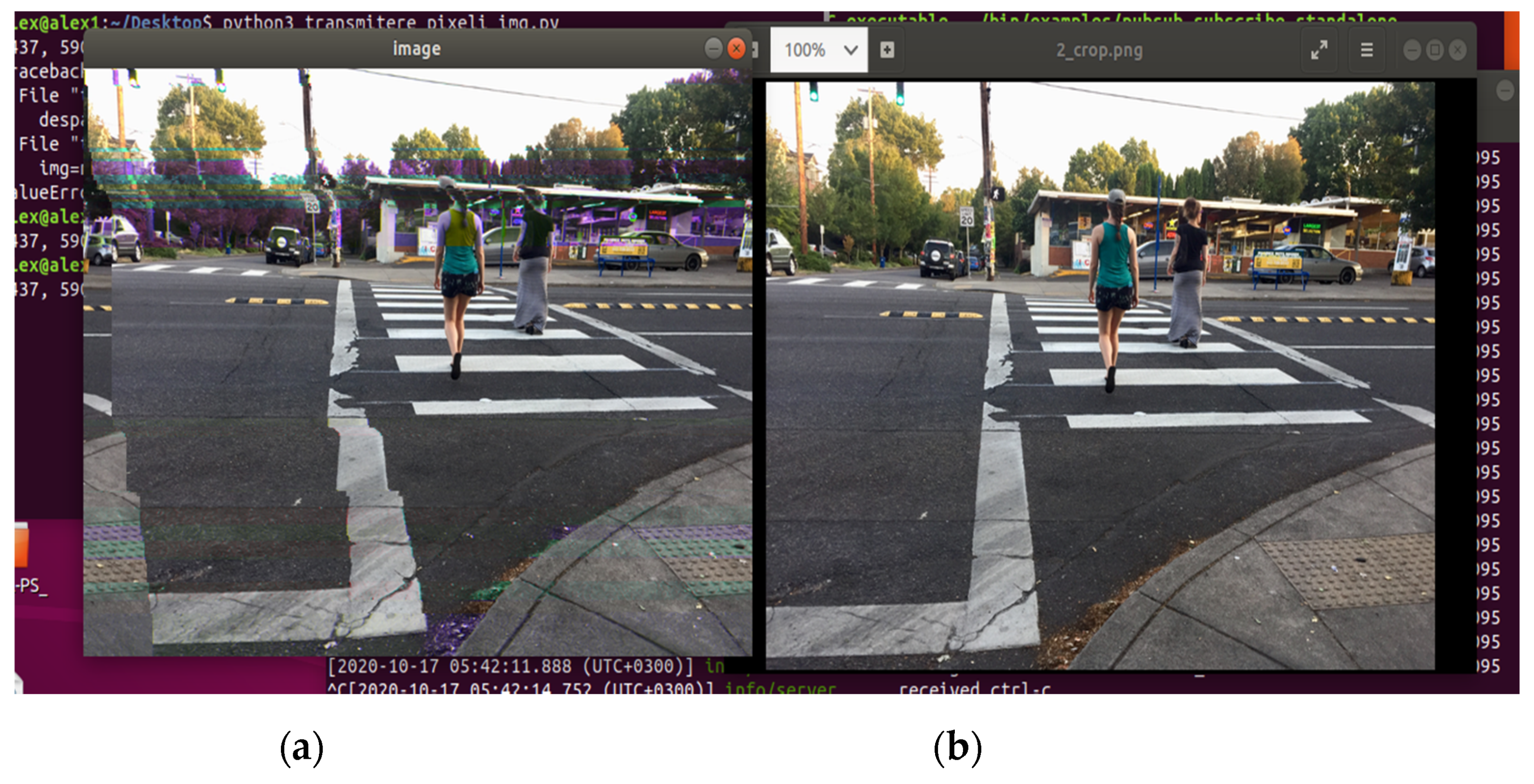 Sensors 21 01296 g005