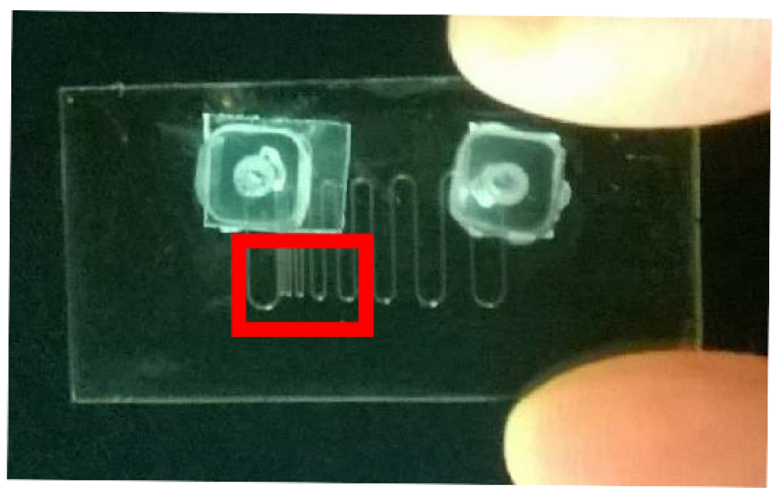 Sensors 21 01300 g006