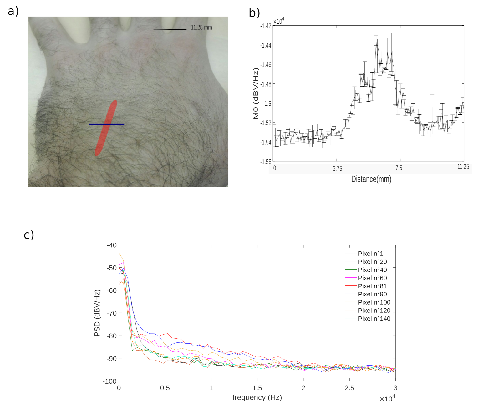 Sensors 21 01300 g013