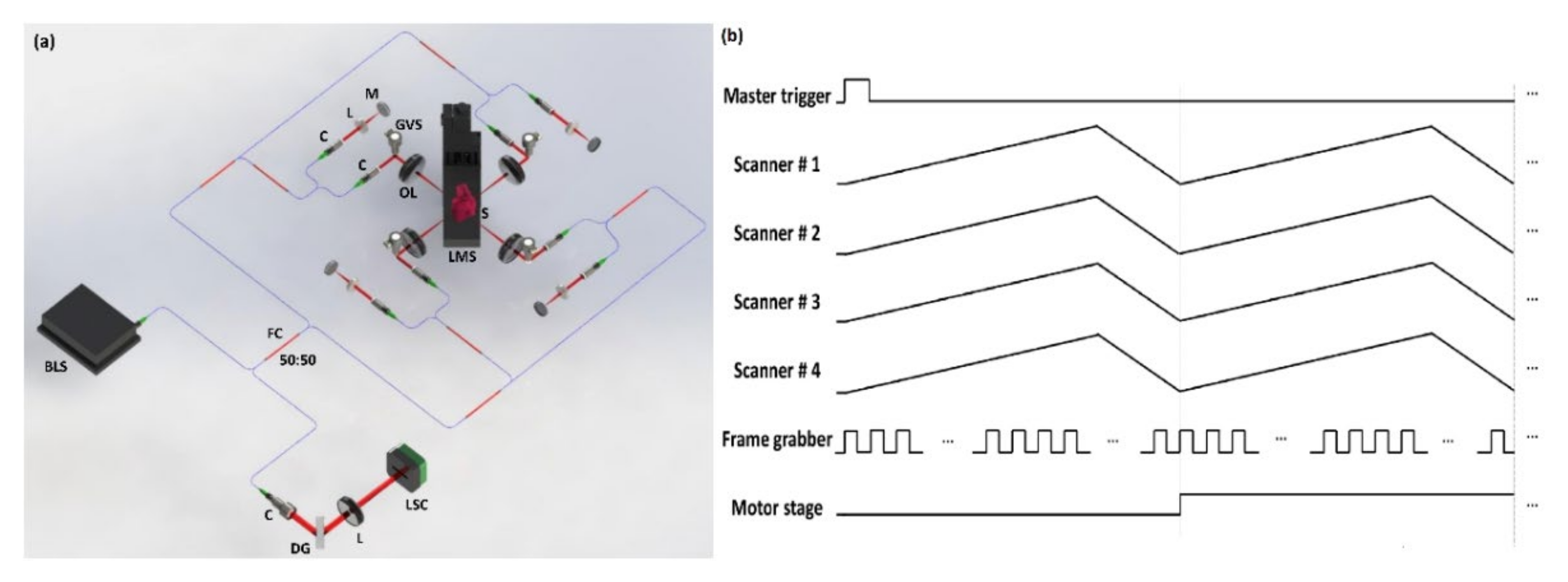 Sensors 21 01305 g001