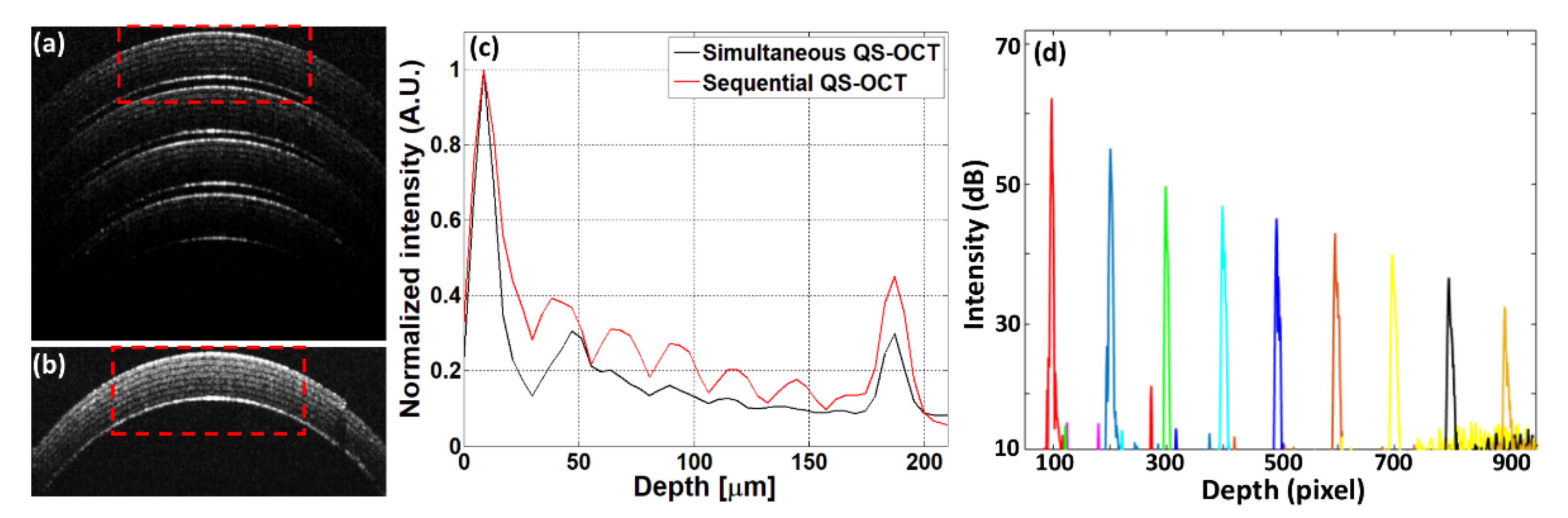 Sensors 21 01305 g005