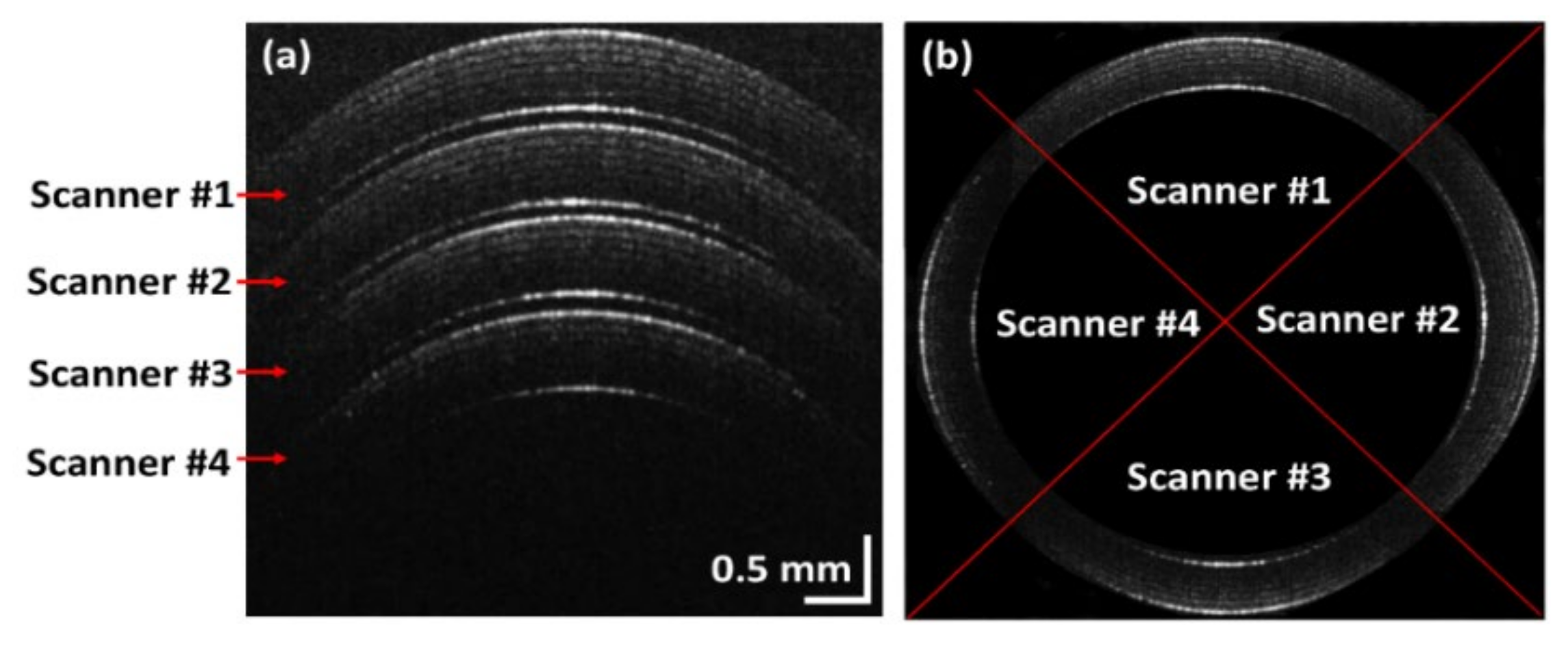 Sensors 21 01305 g006